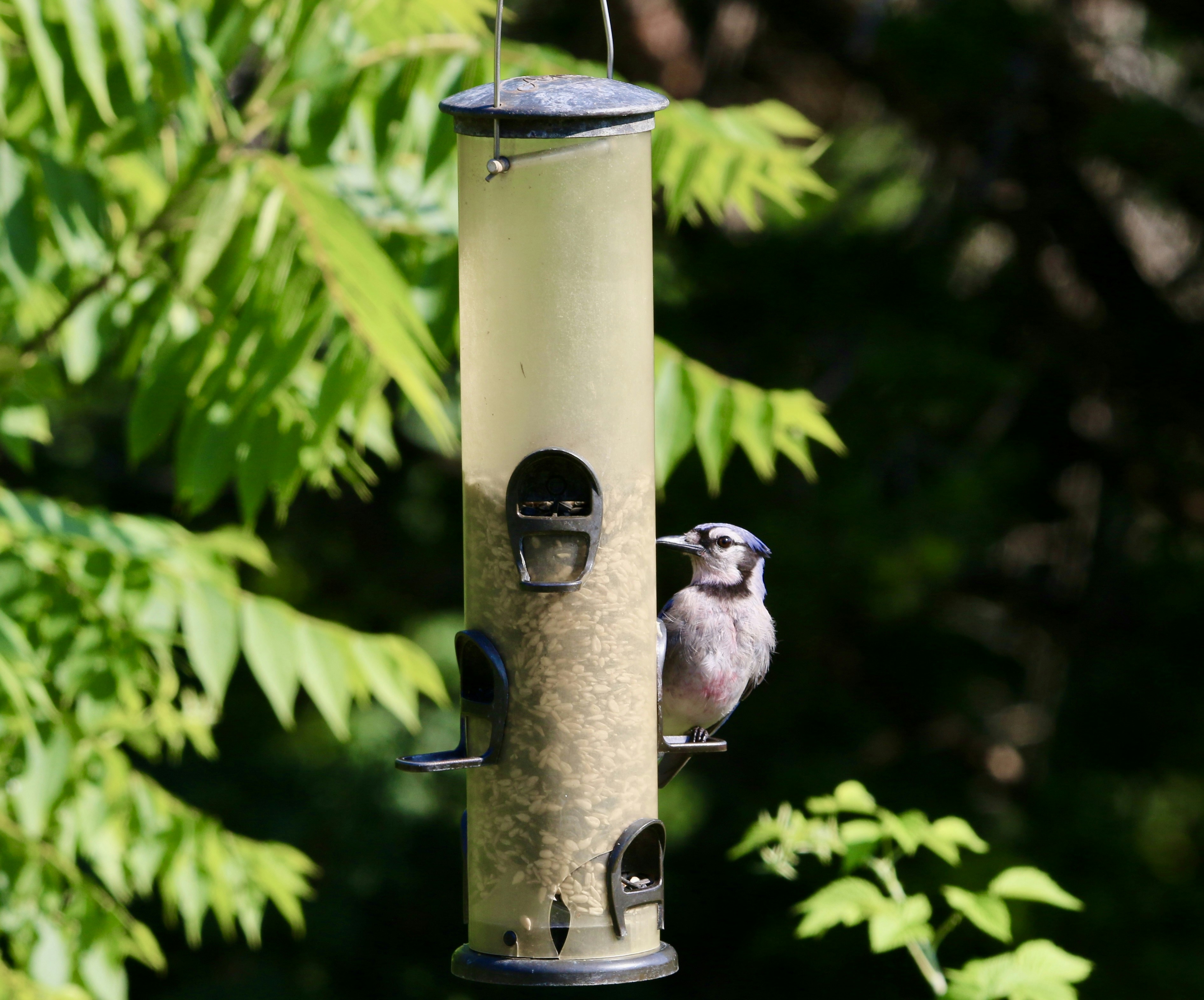 Photo by gabriels501