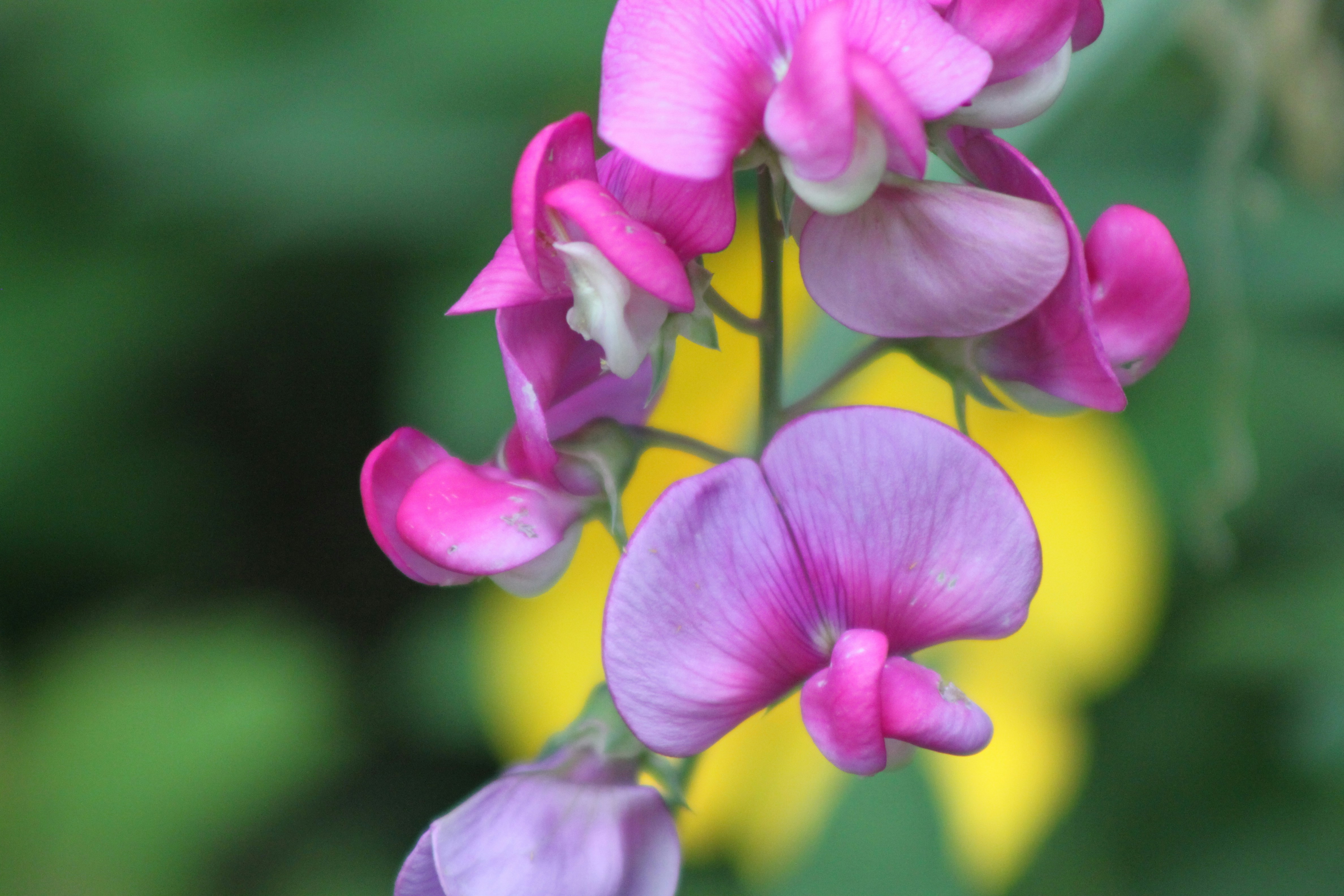 Photo by rubyphotography