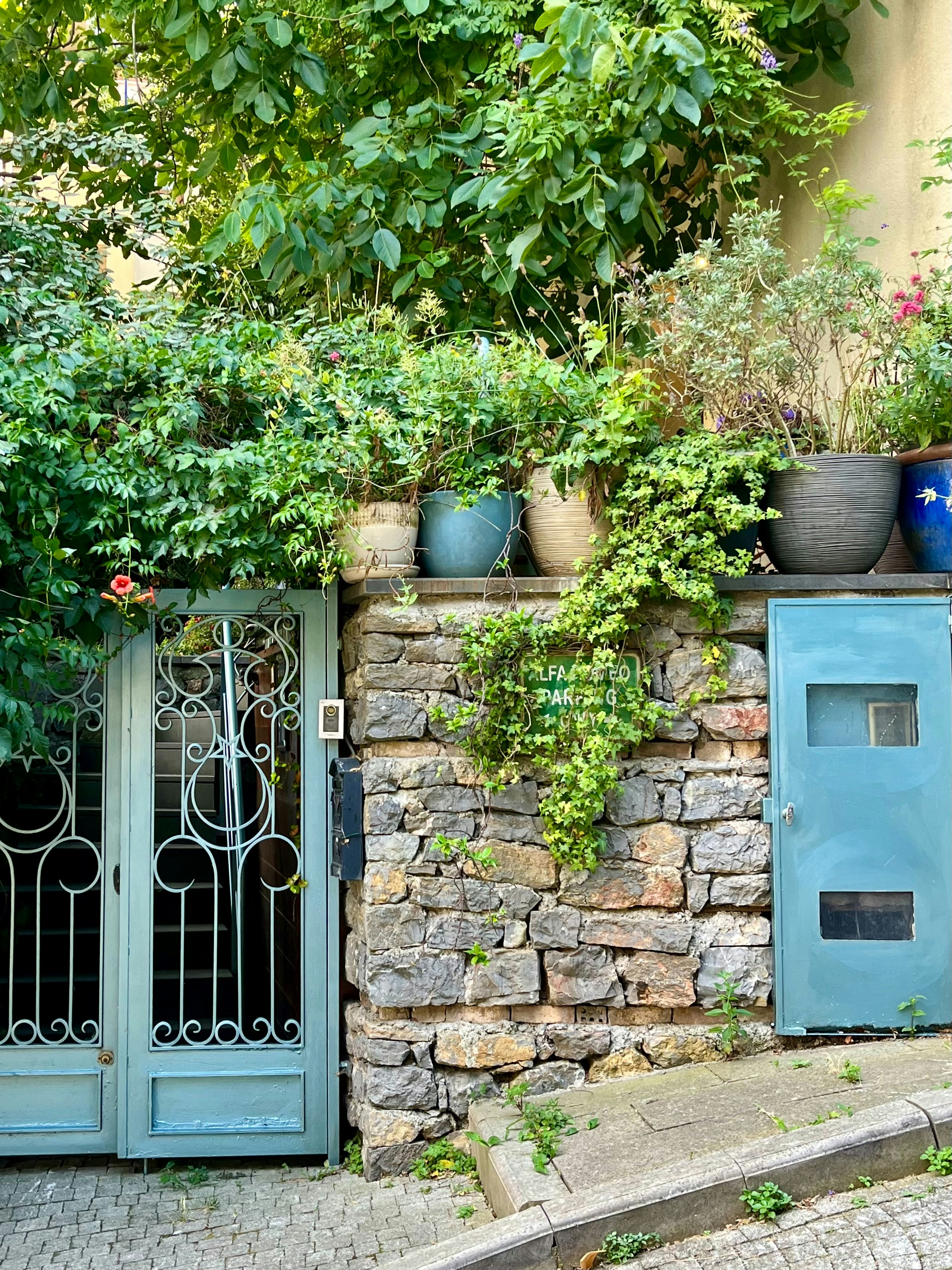 Photo by ezgideliklitas