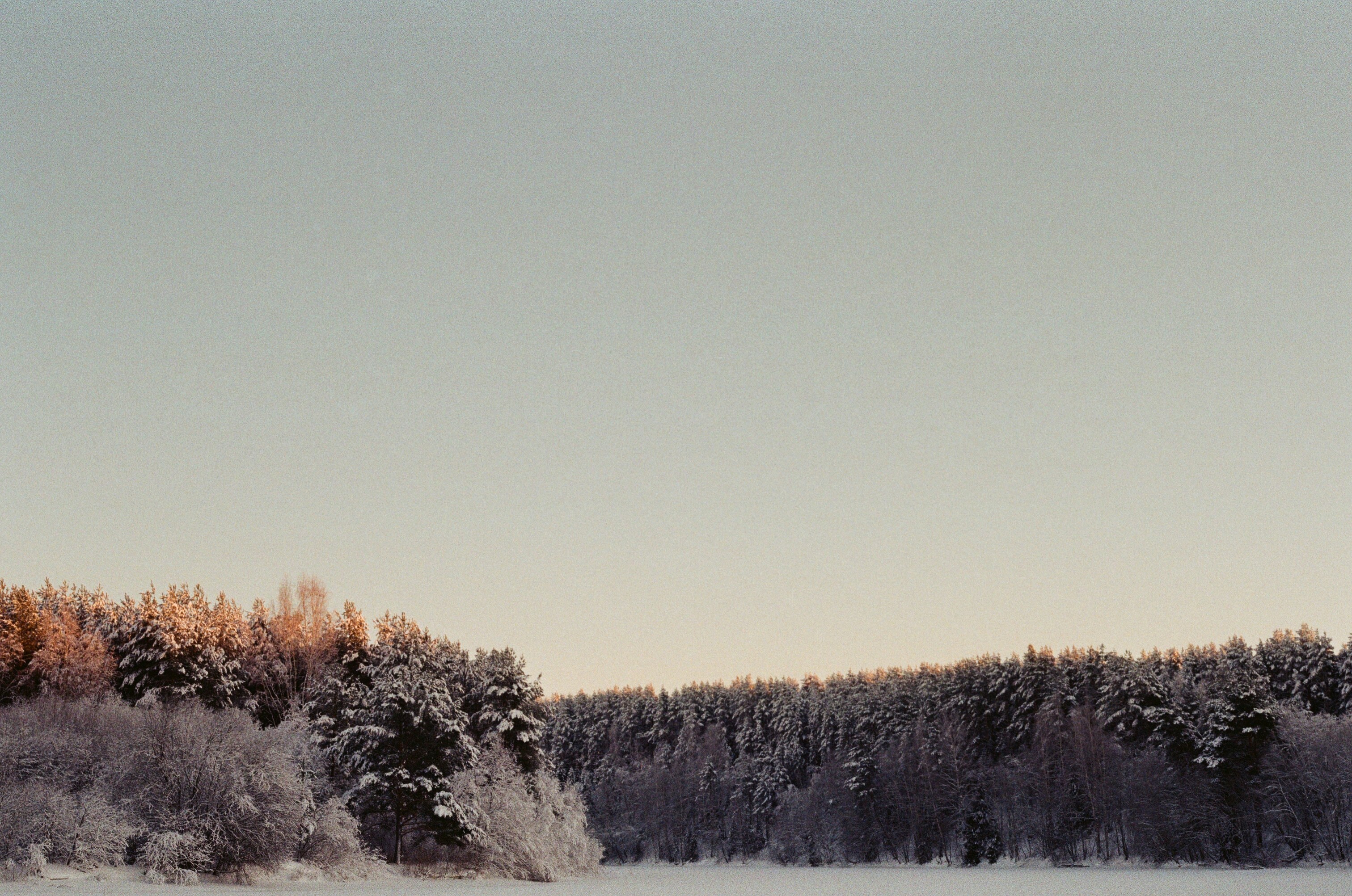 Photo by evilphoton42