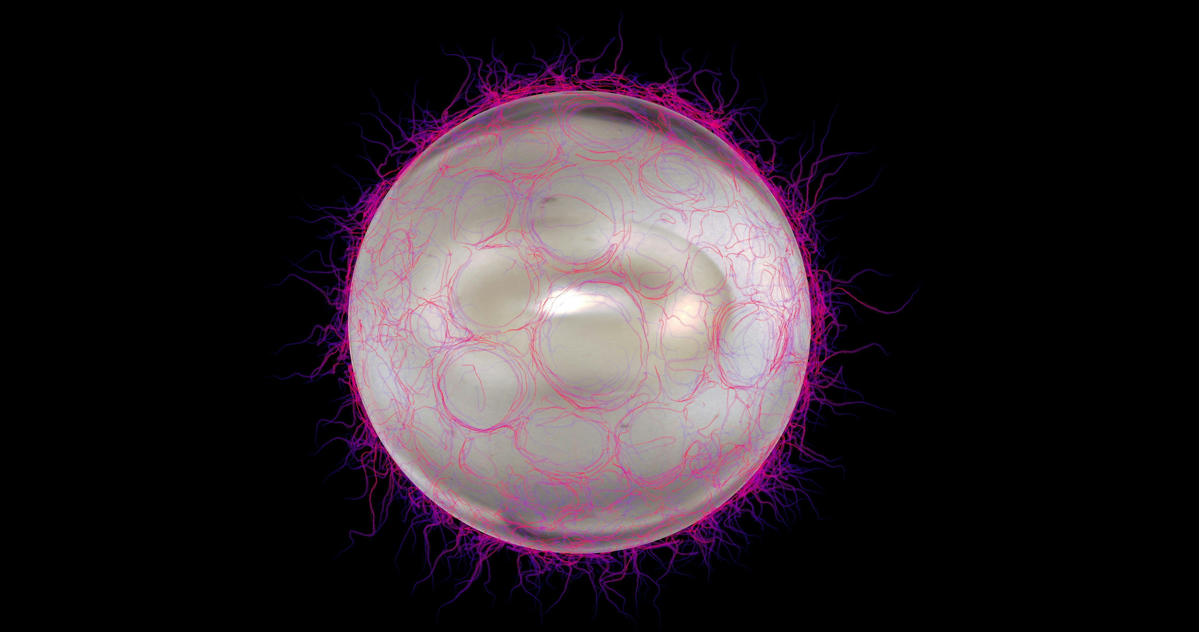 Photo by buddhaelemental3d