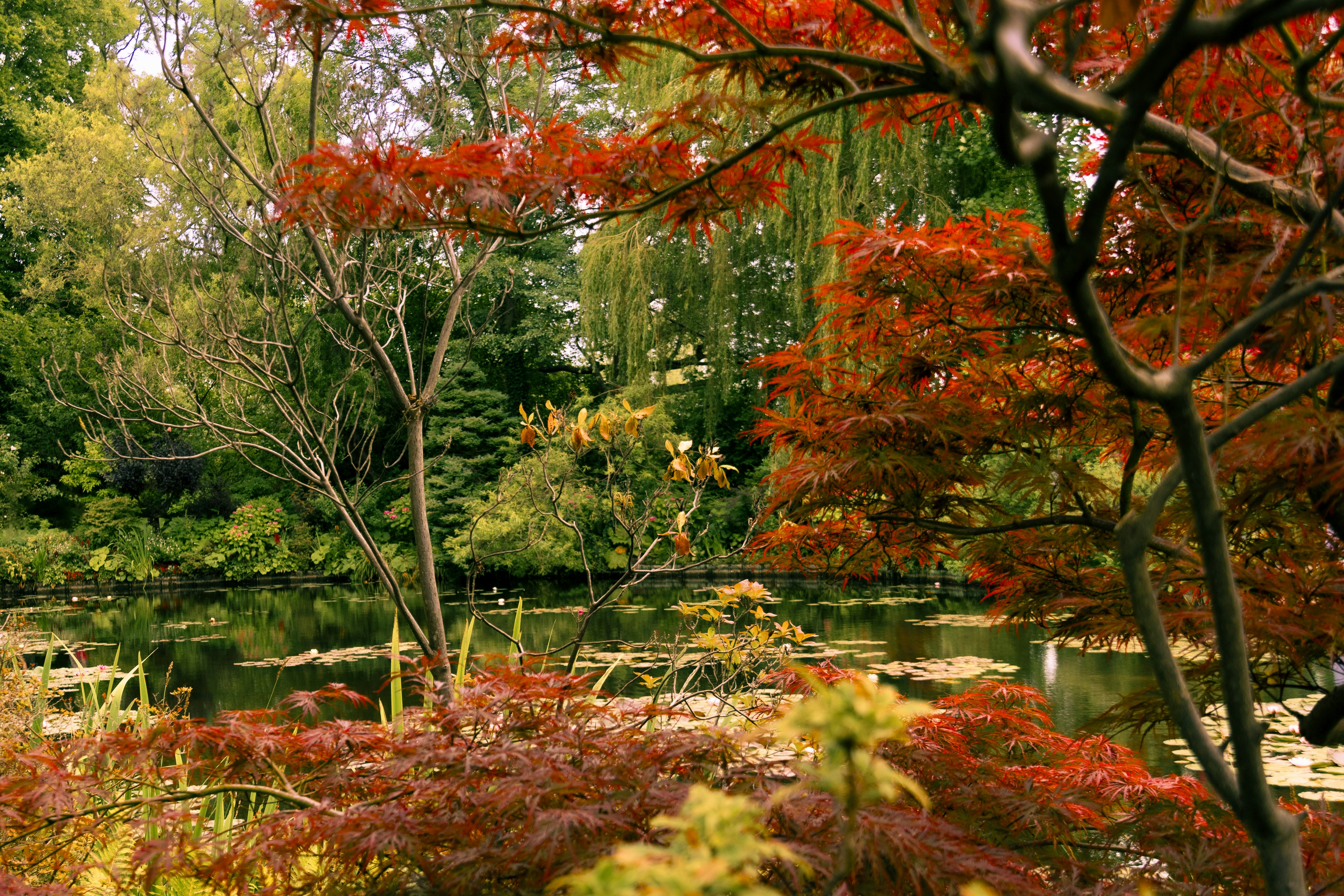 Claude concept illustration