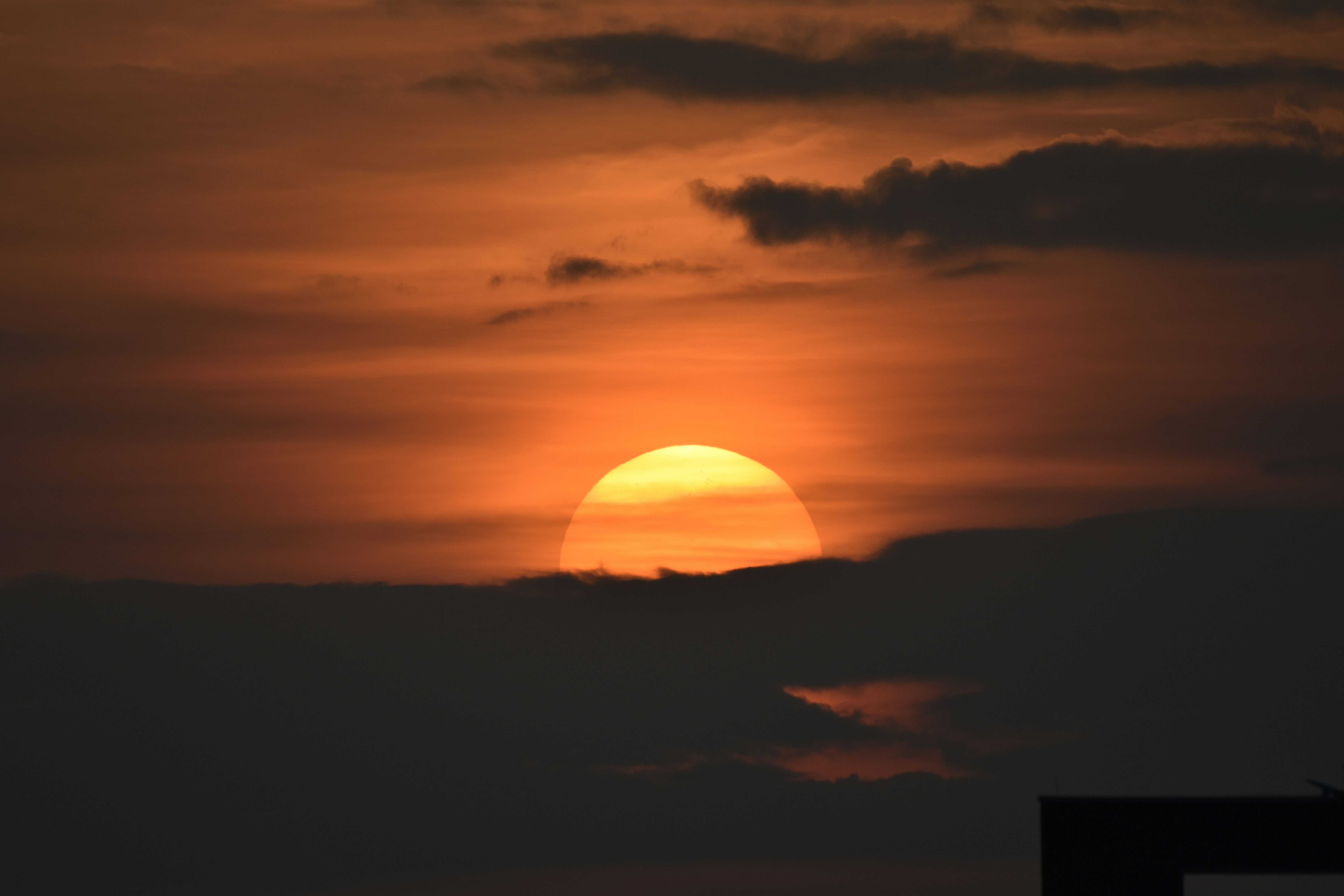 Photo by julius_ngigi