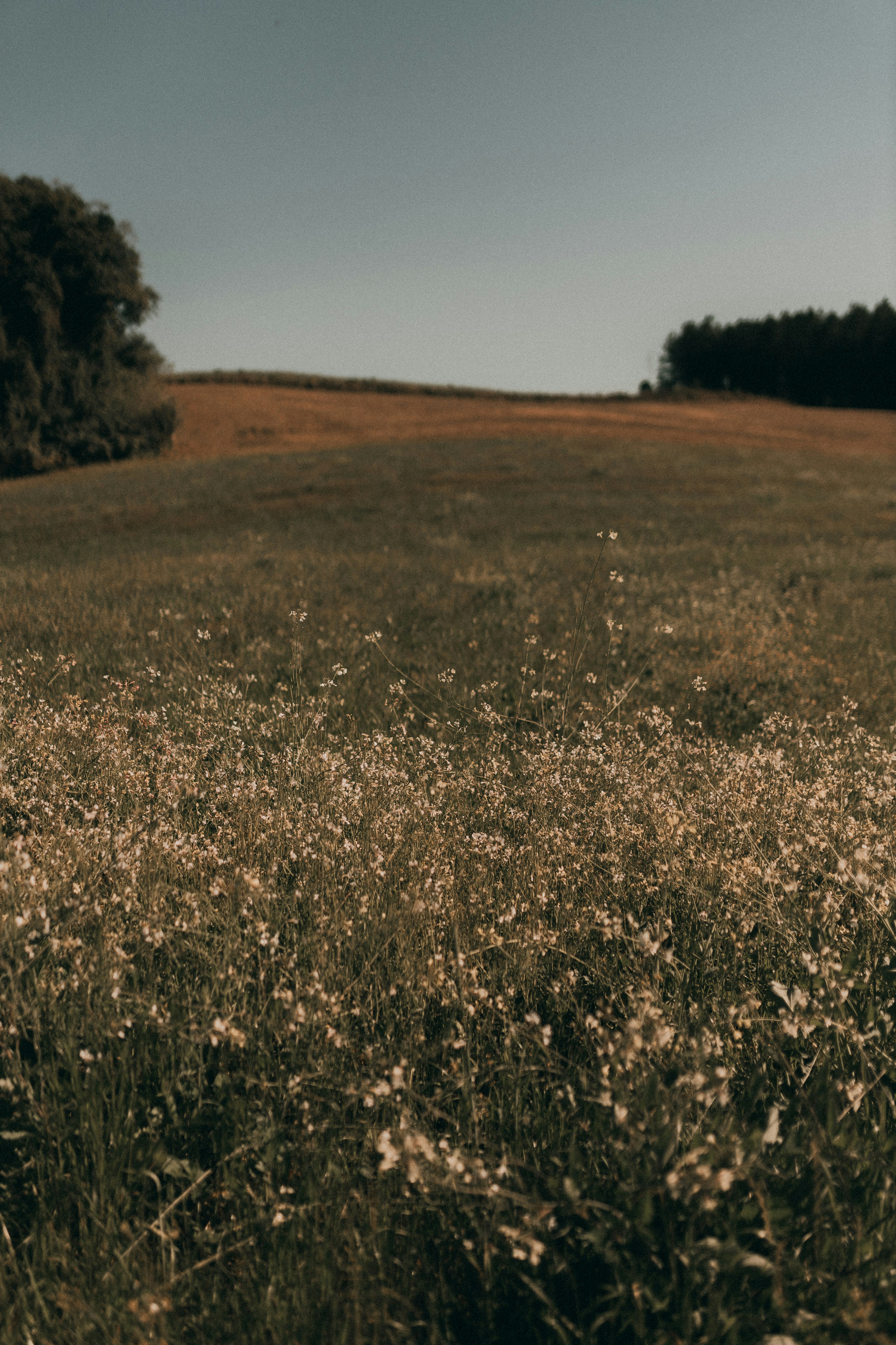 Photo by alexandermassph