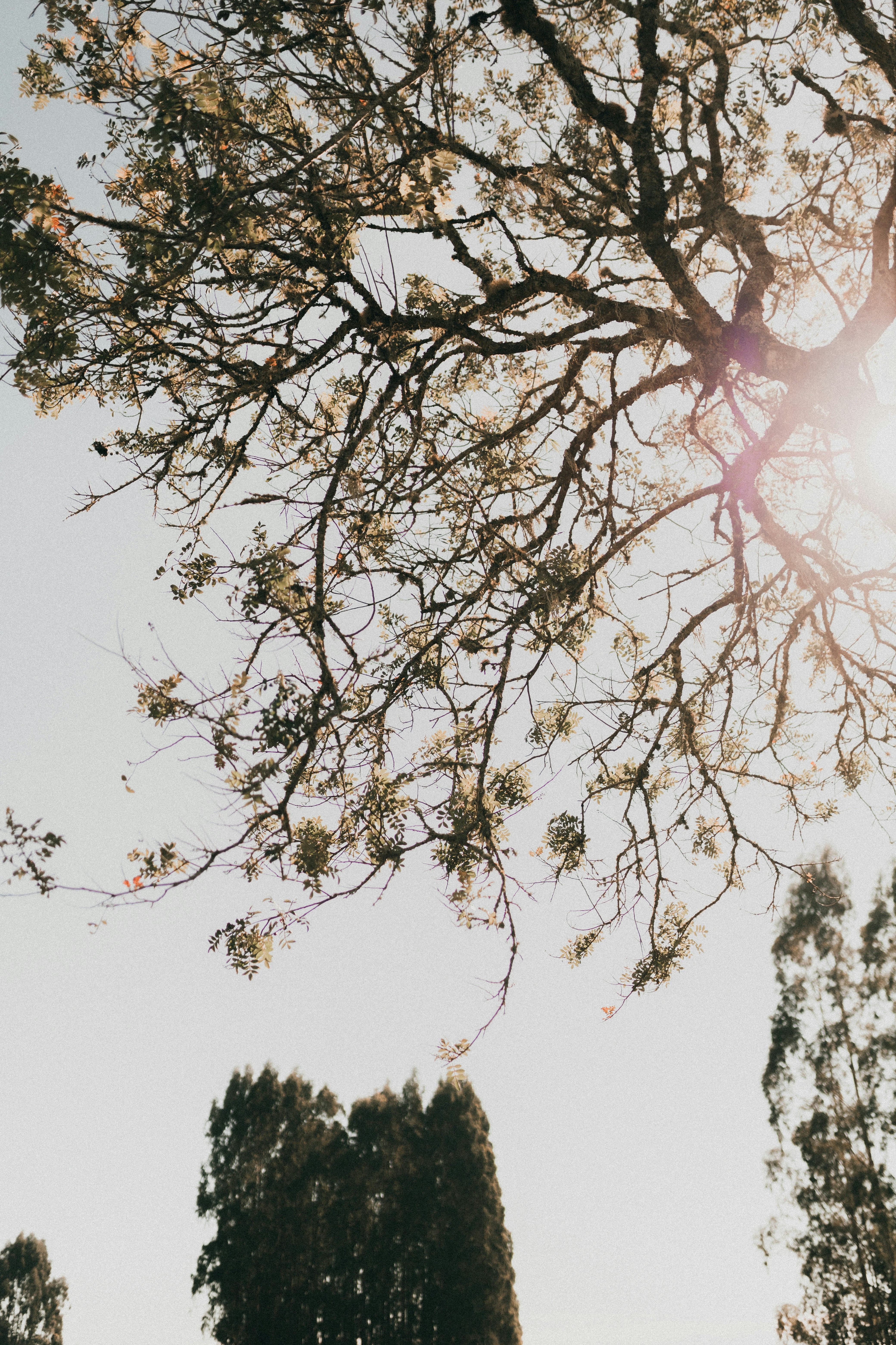 Photo by alexandermassph