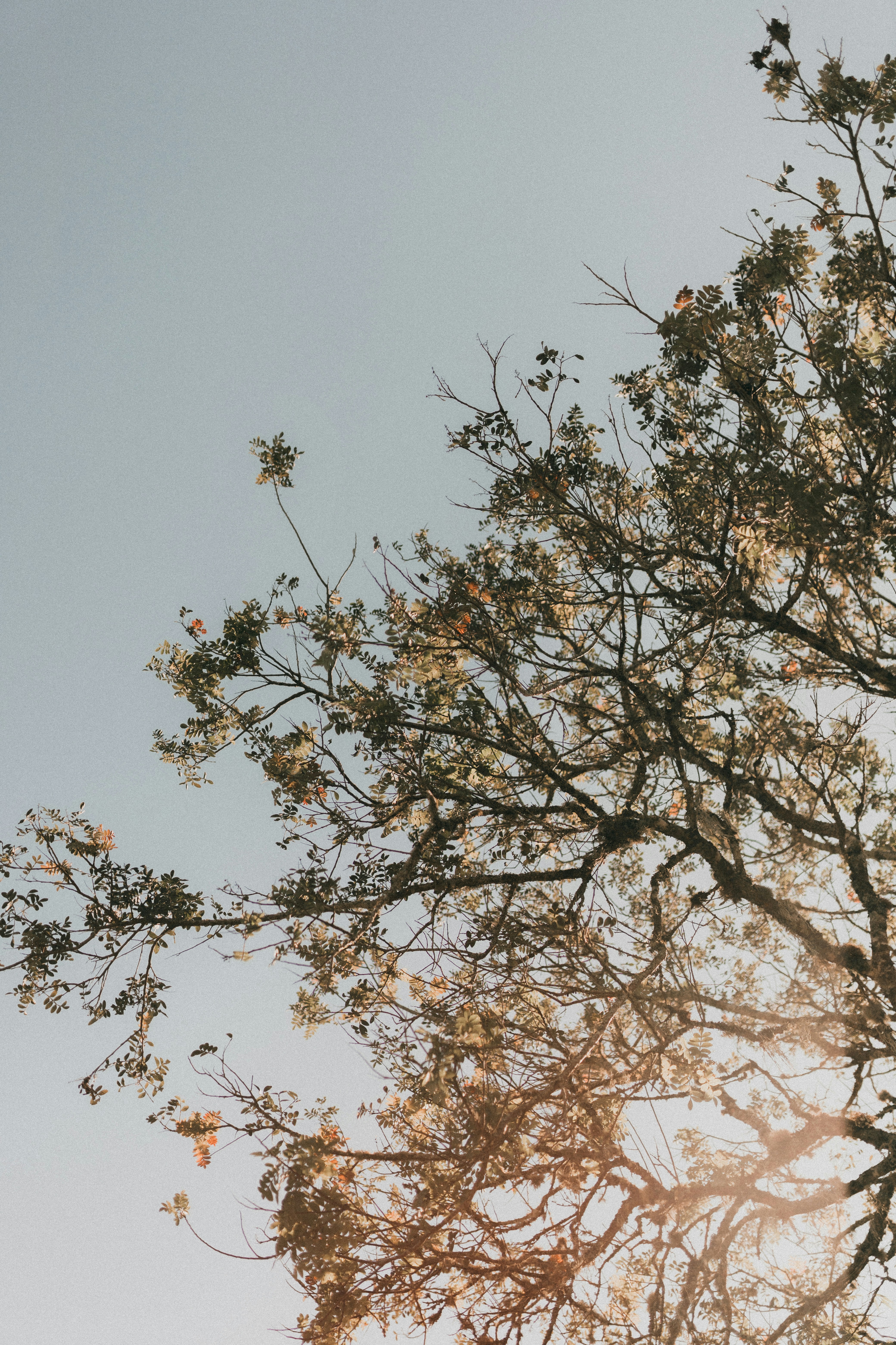 Photo by alexandermassph