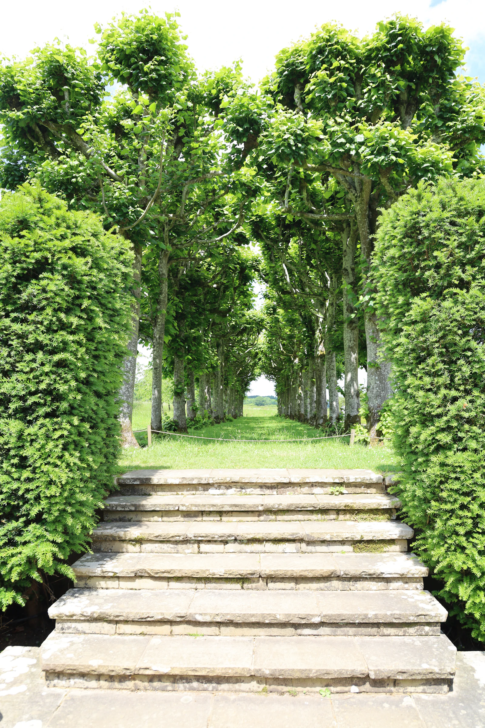 Steps leading into the gardens at Mottisfont, near Romsey