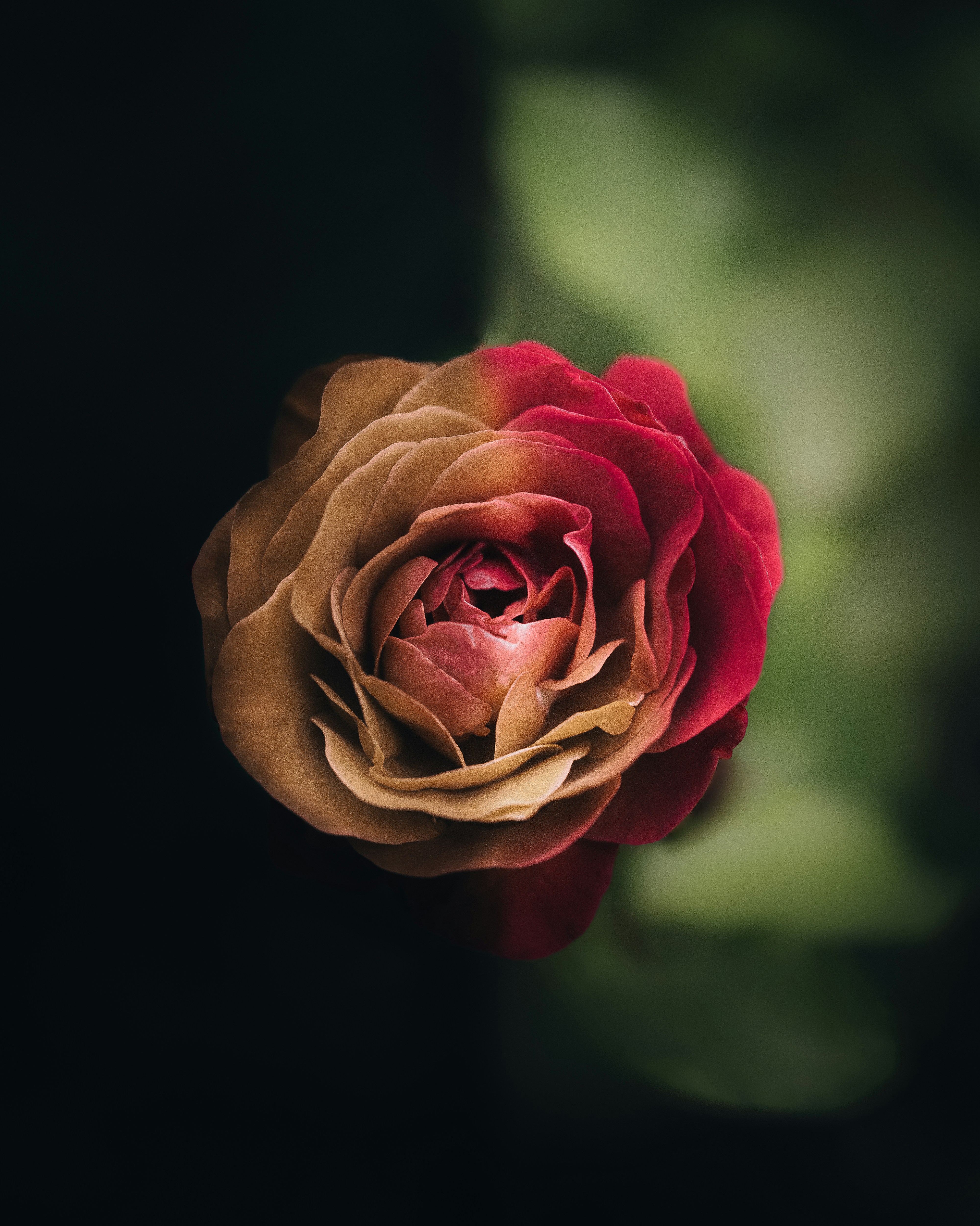 Photo by edgar_infocus