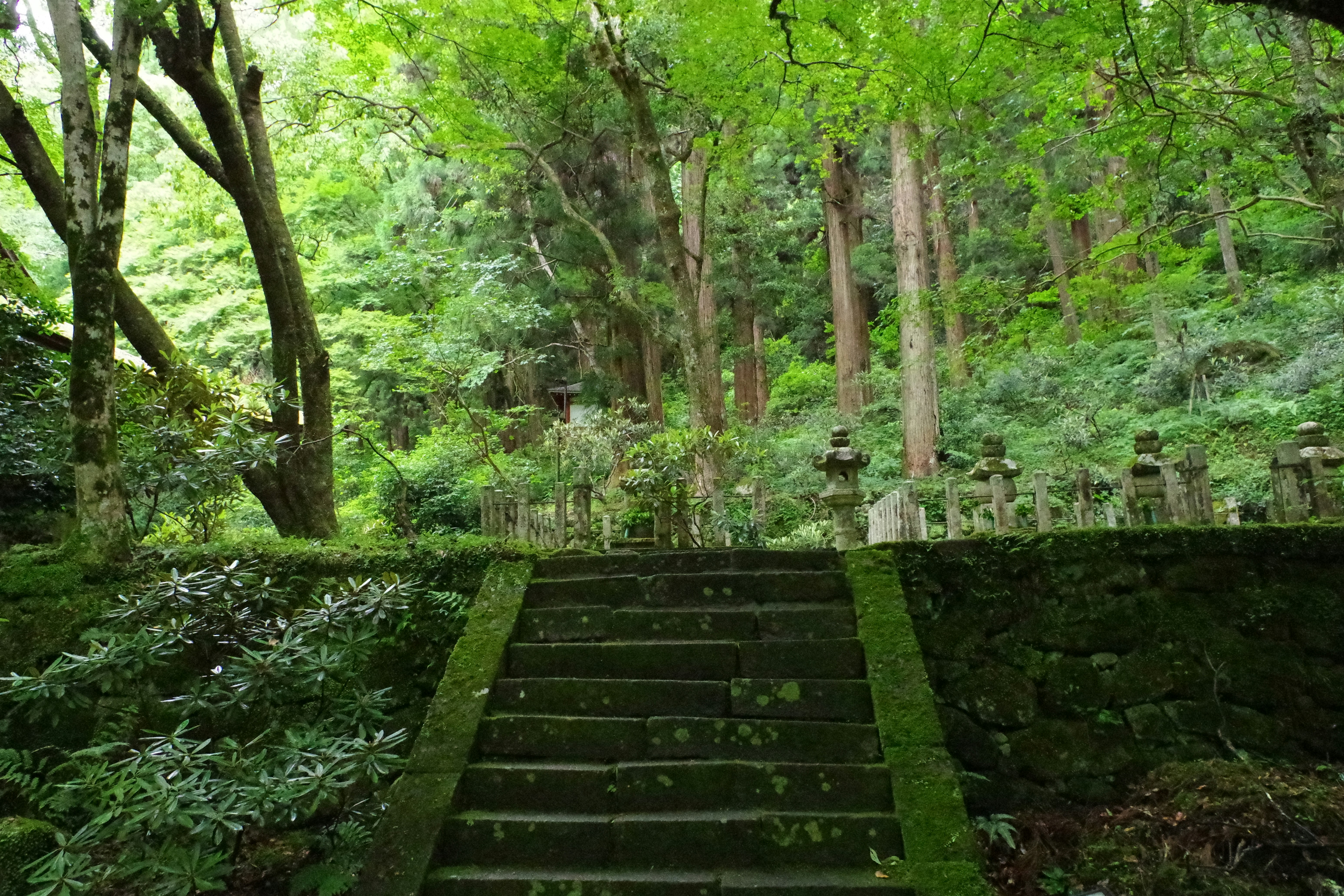 🔥別再花冤枉錢！這5個家居好物，沒買你絕對後悔！
