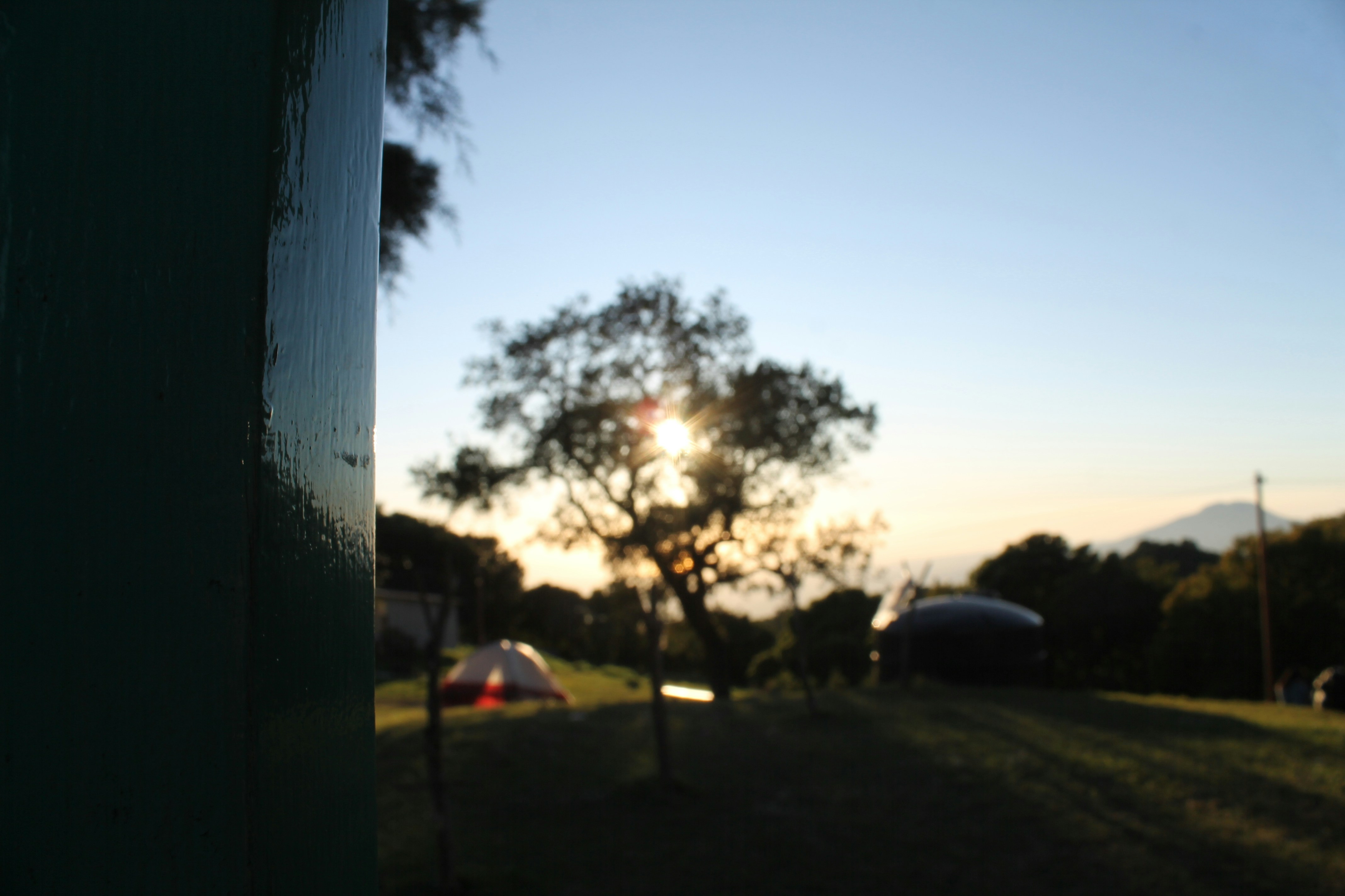 The sun is setting over a field with a tree, Blurred tree in the background