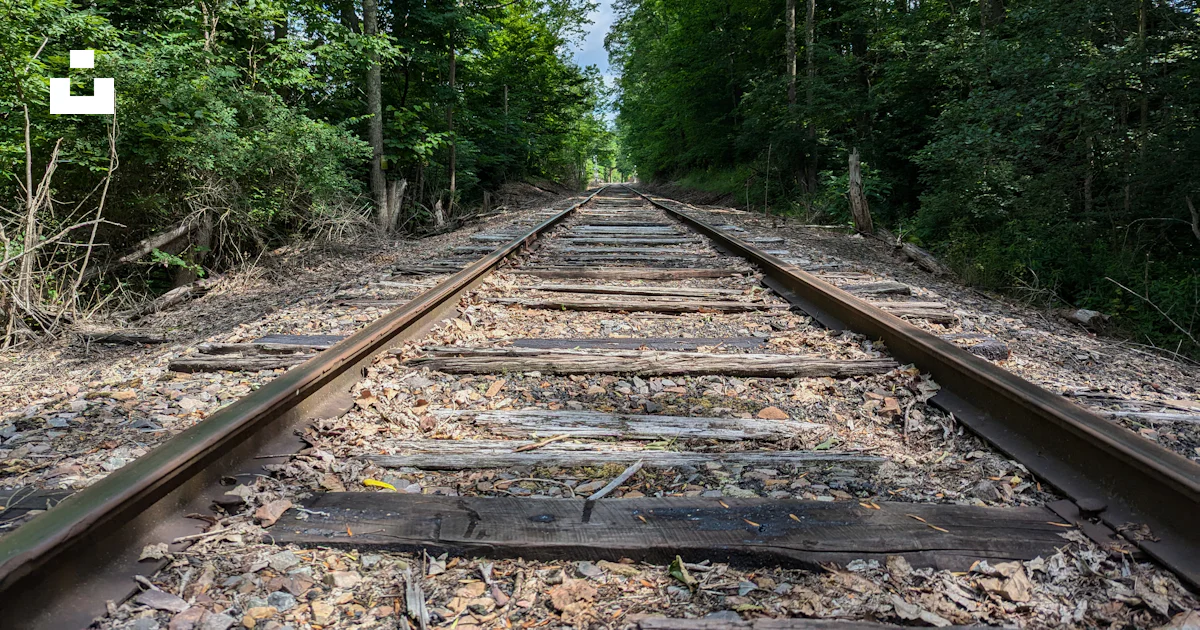A train track in the middle of a wooded area photo – Free Railway track ...