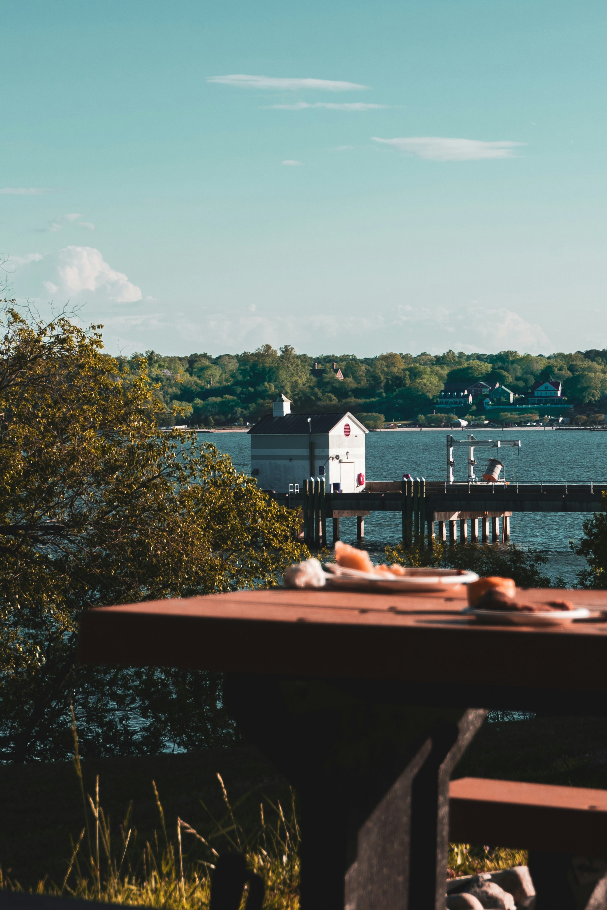 Photo by mayertawfik