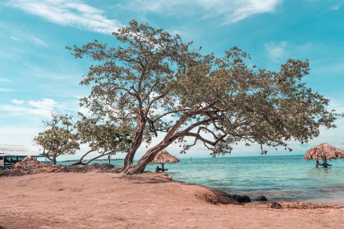 Beautiful Honduran Coastline