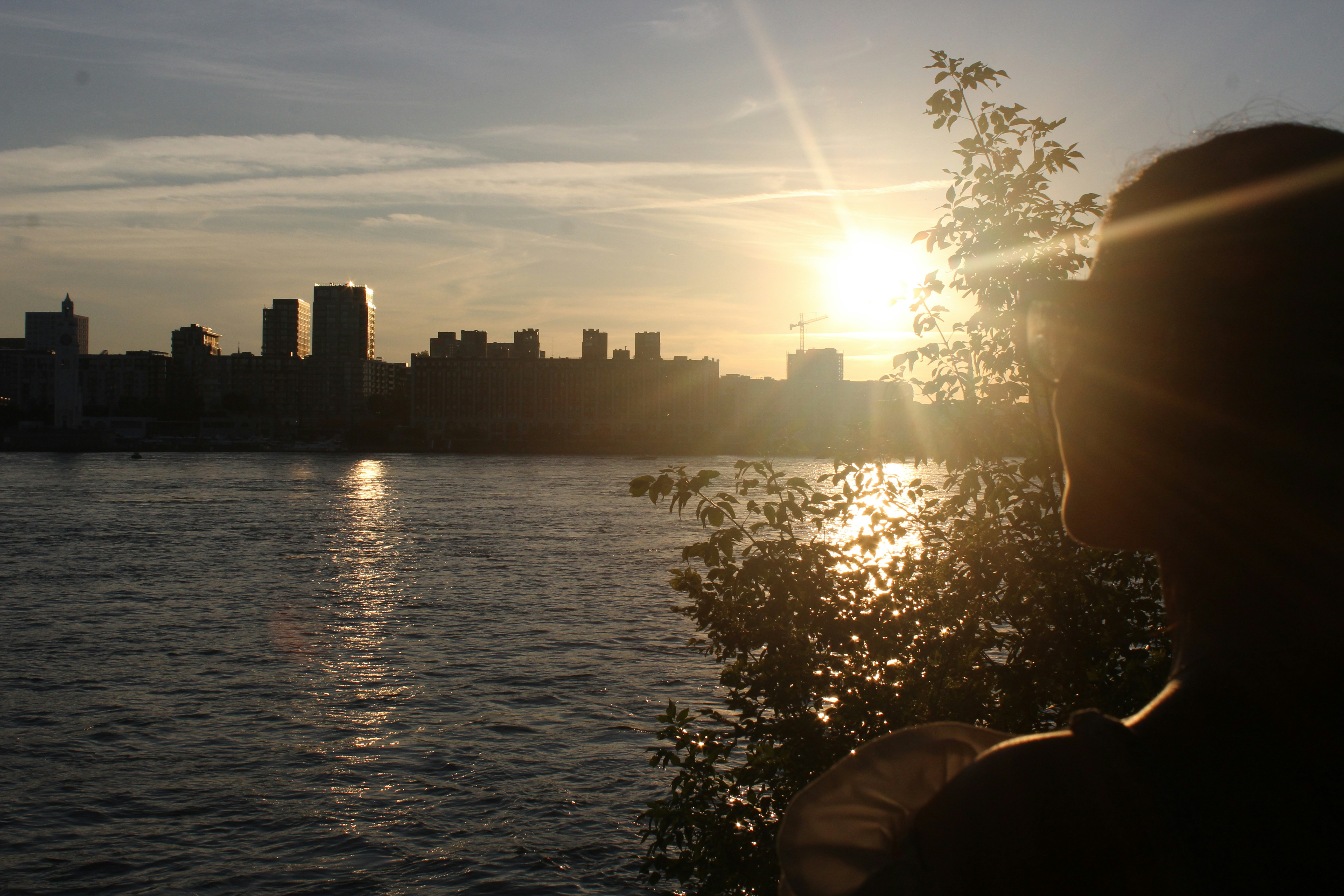 Photo by niloofar_b1991