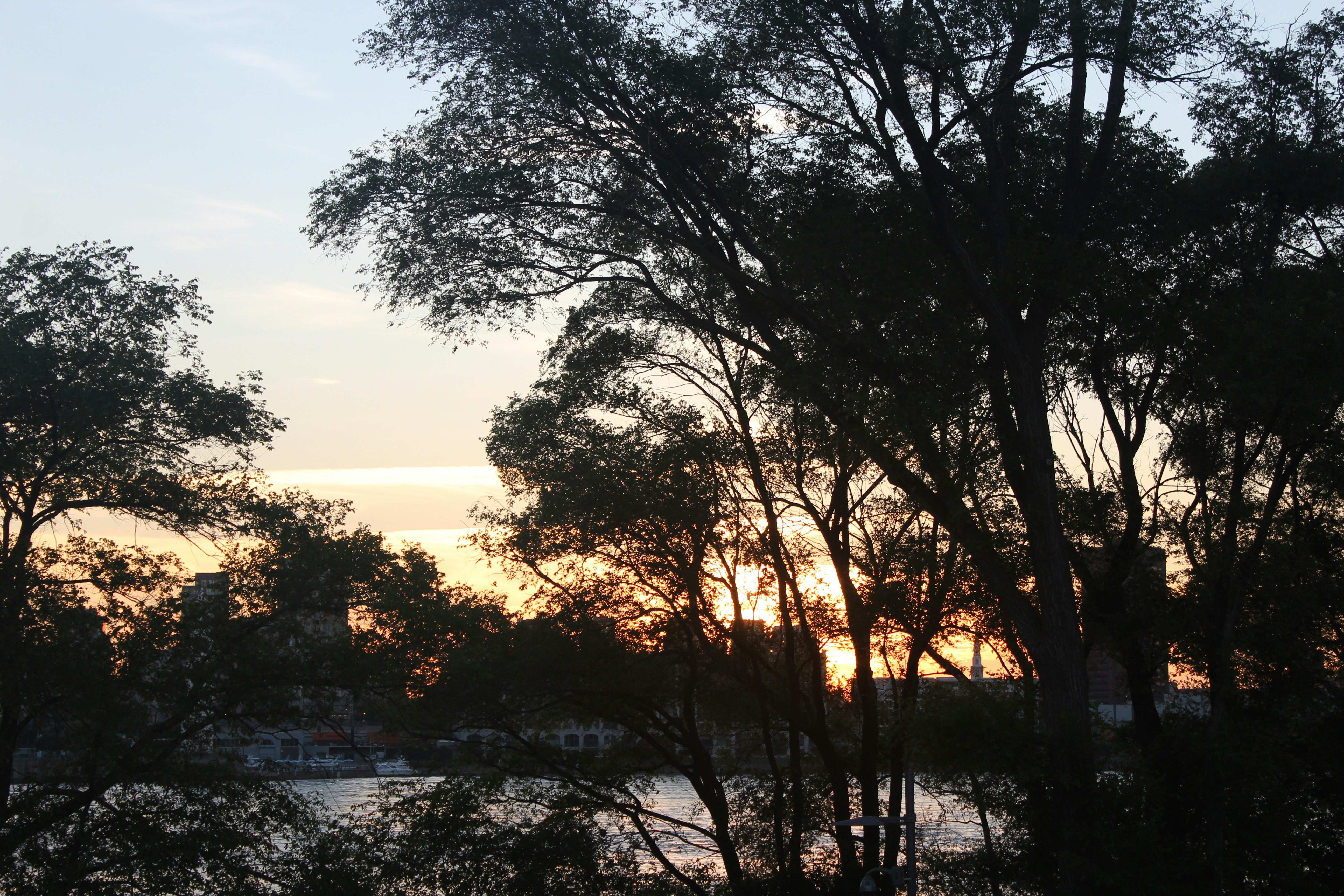 Photo by niloofar_b1991