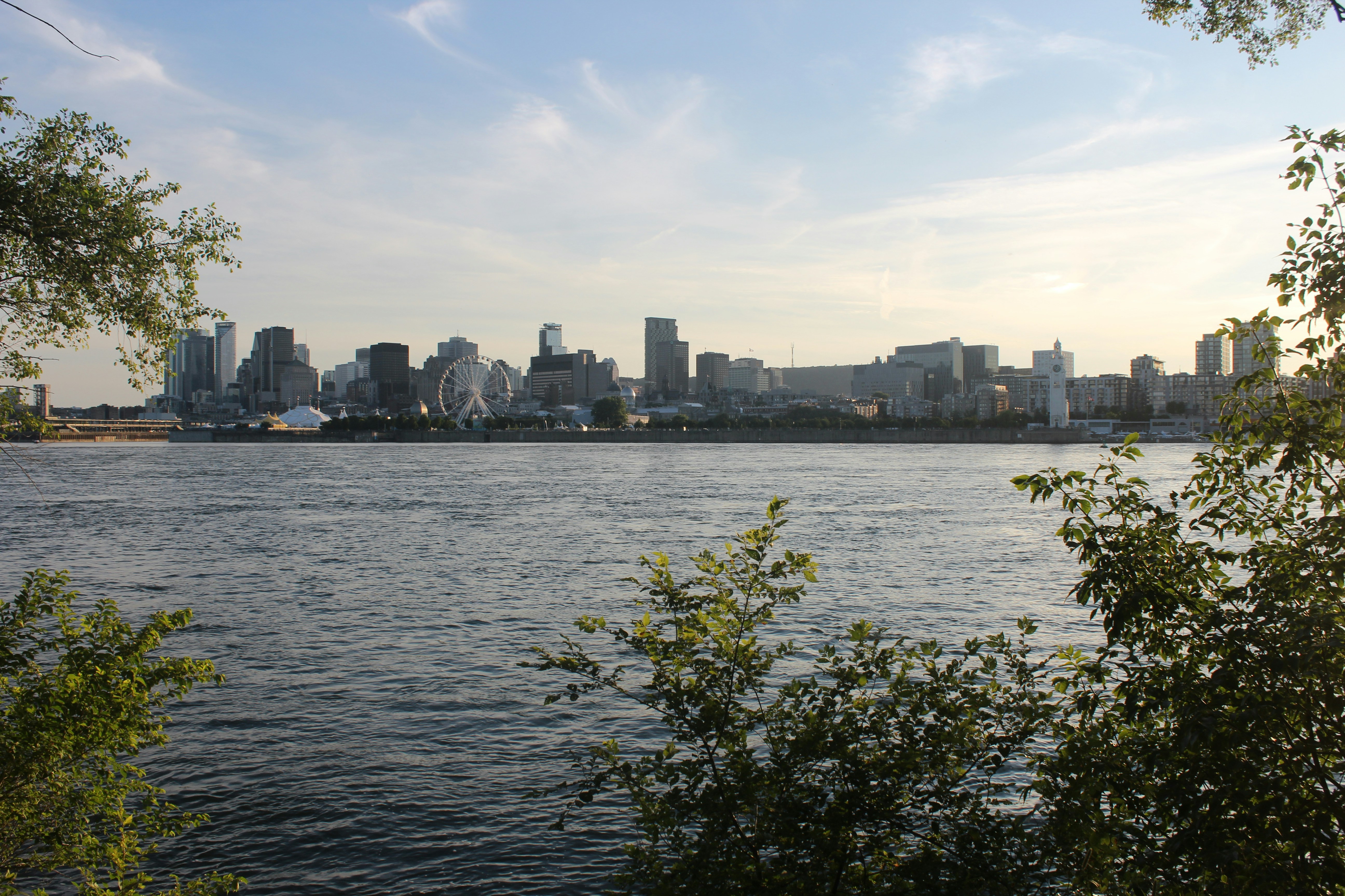 Photo by niloofar_b1991