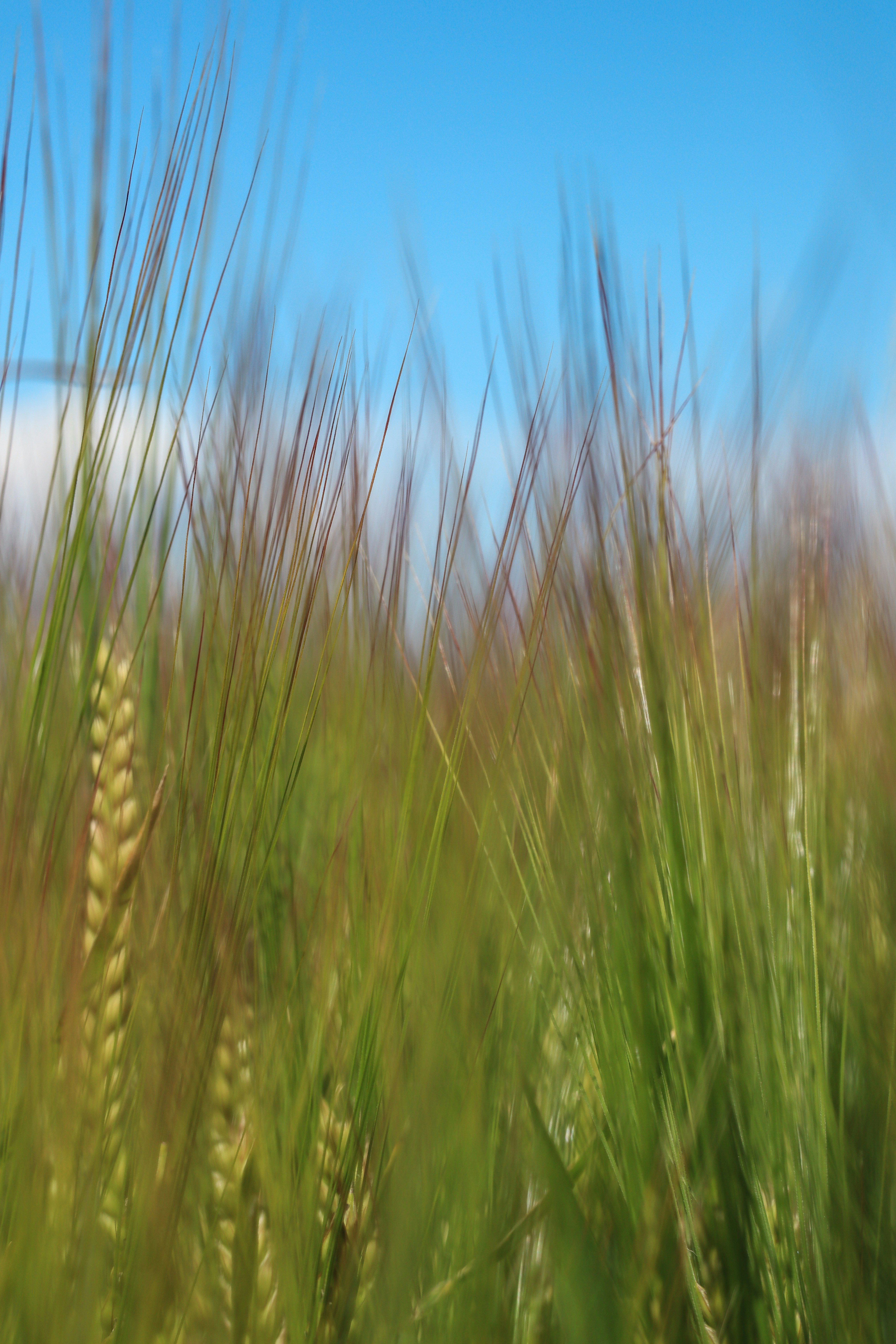 Photo by grievek1610begur