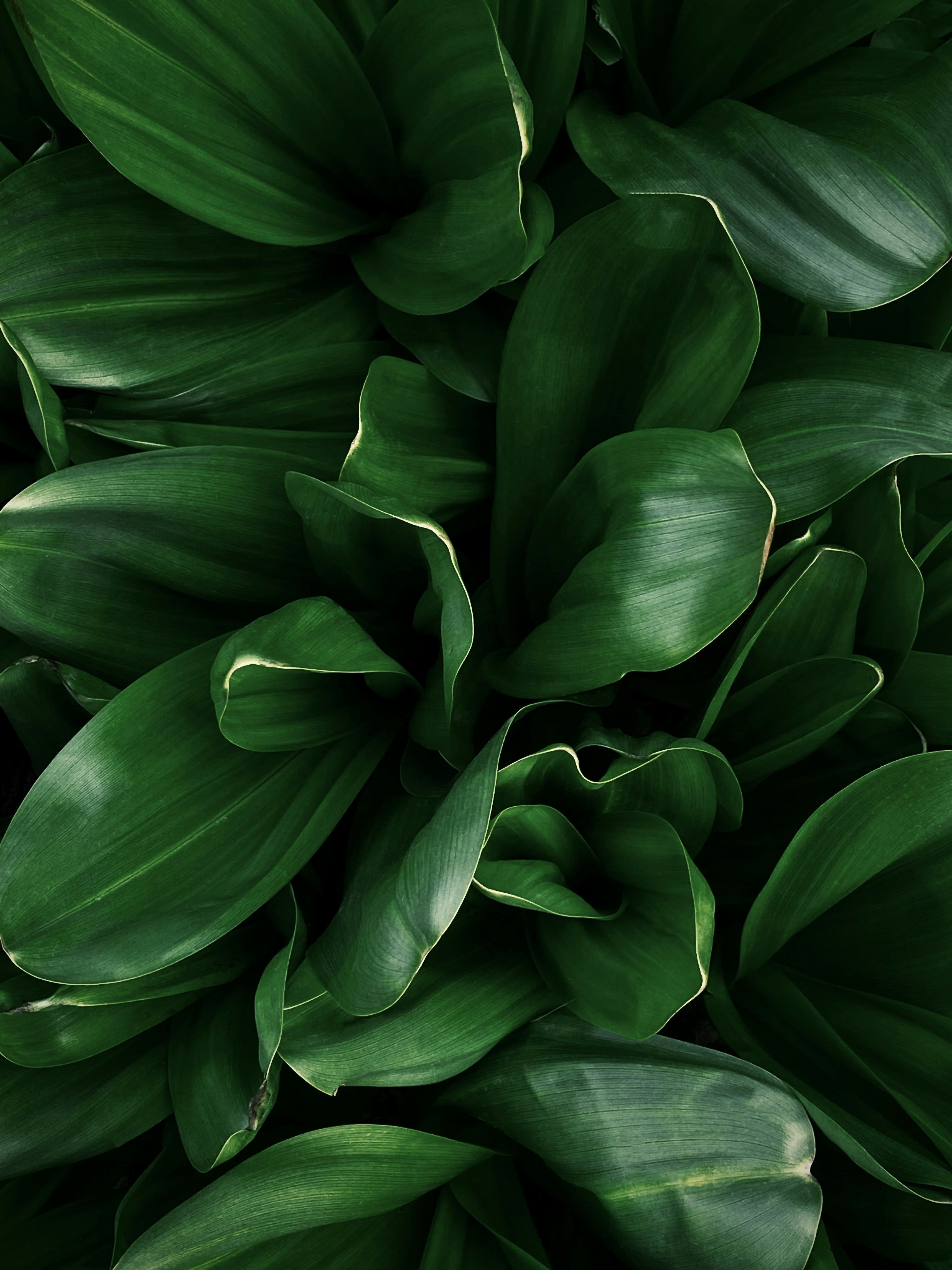 Photo by eugene_golovesov