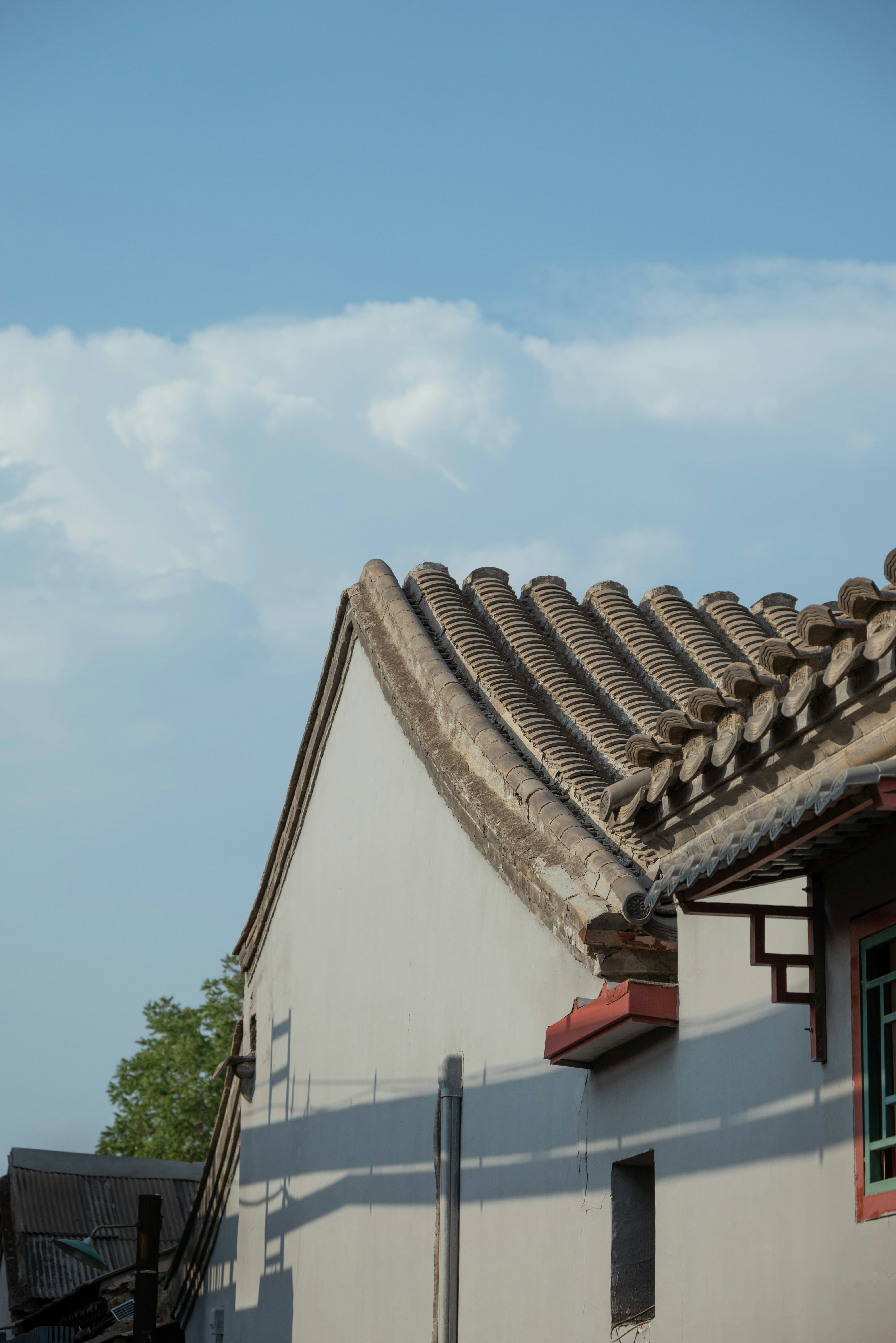 Photo by nikol_royce