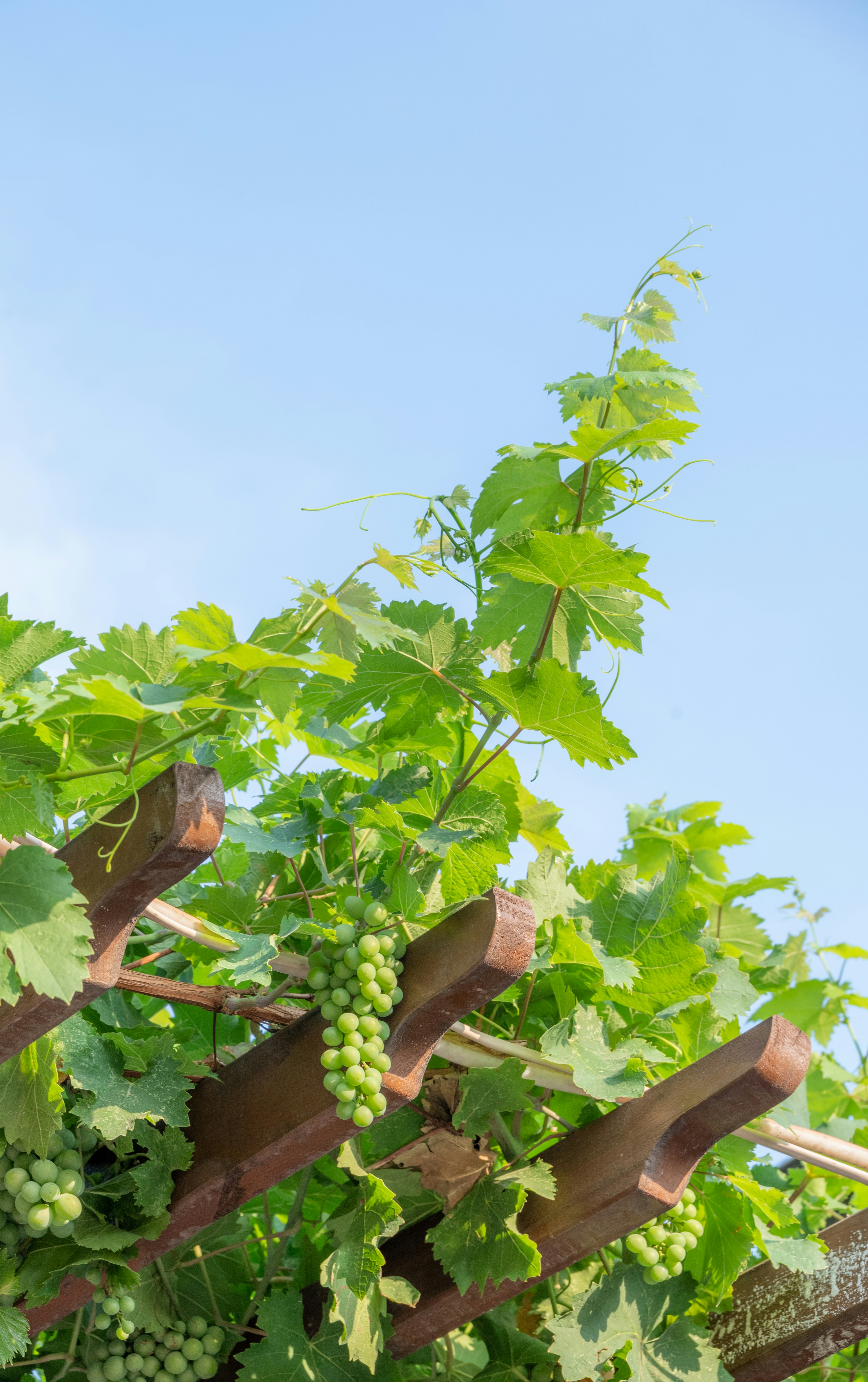 Photo by nikol_royce