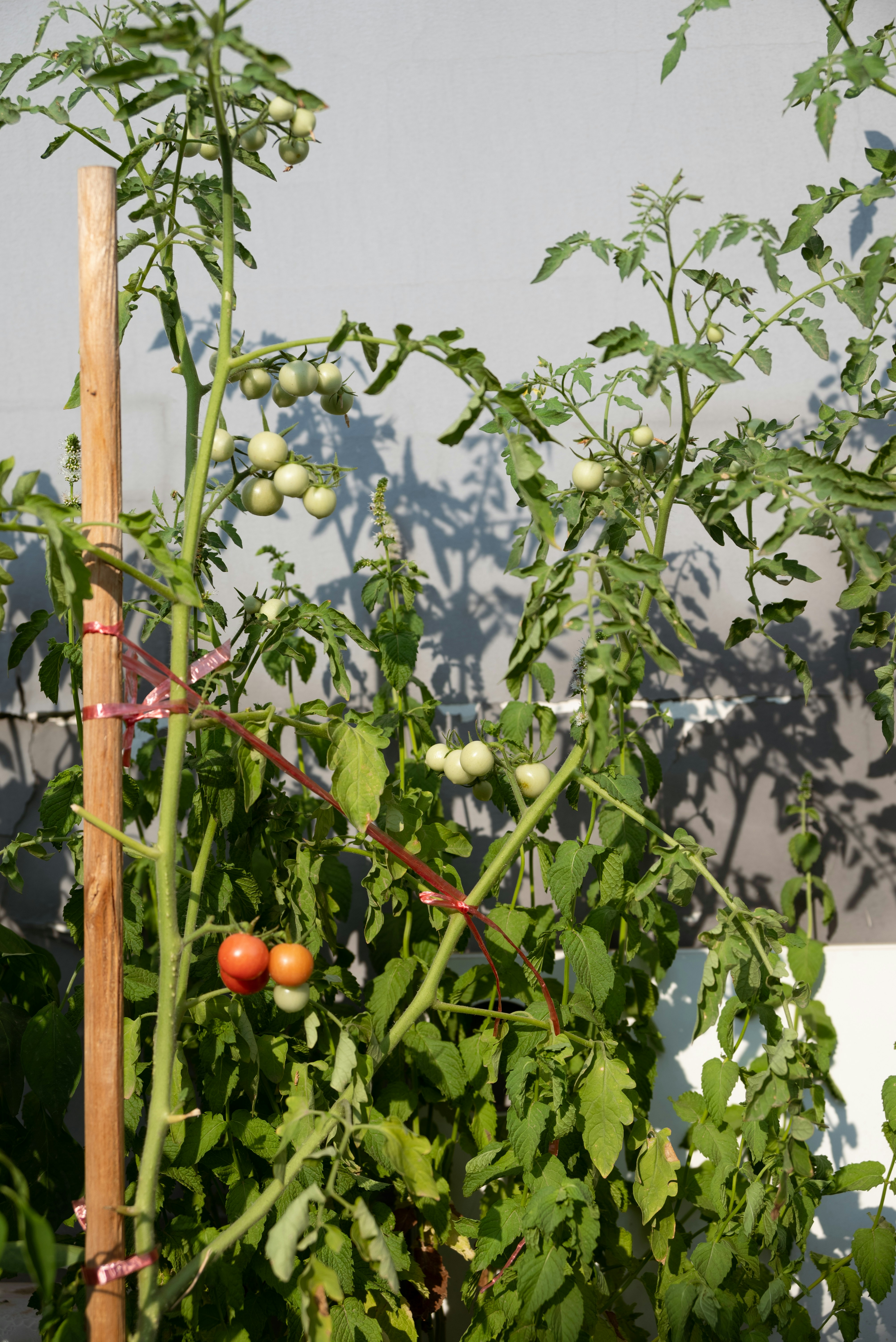 Photo by nikol_royce