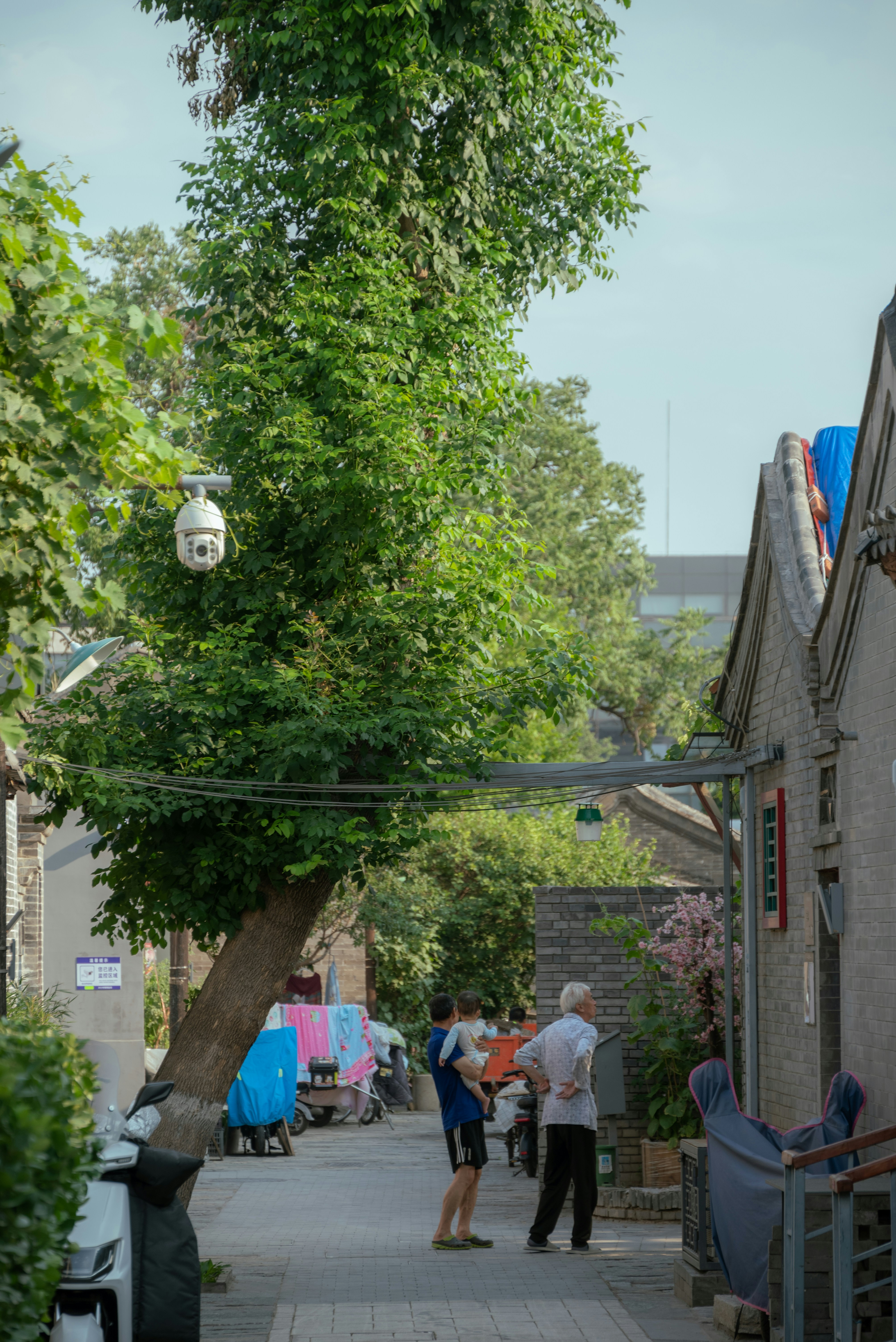 Hutong Alleyways photo 2