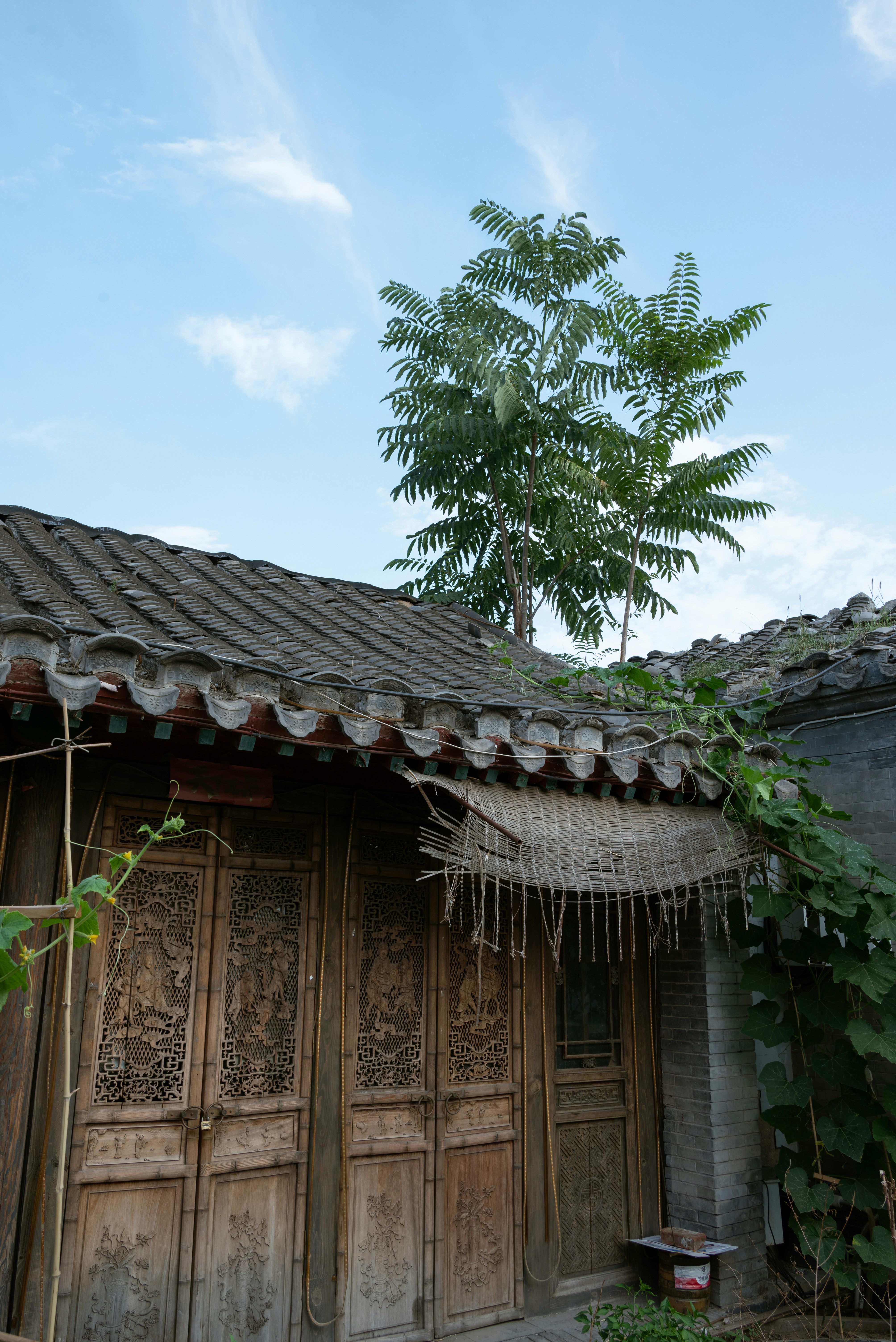 Photo by nikol_royce