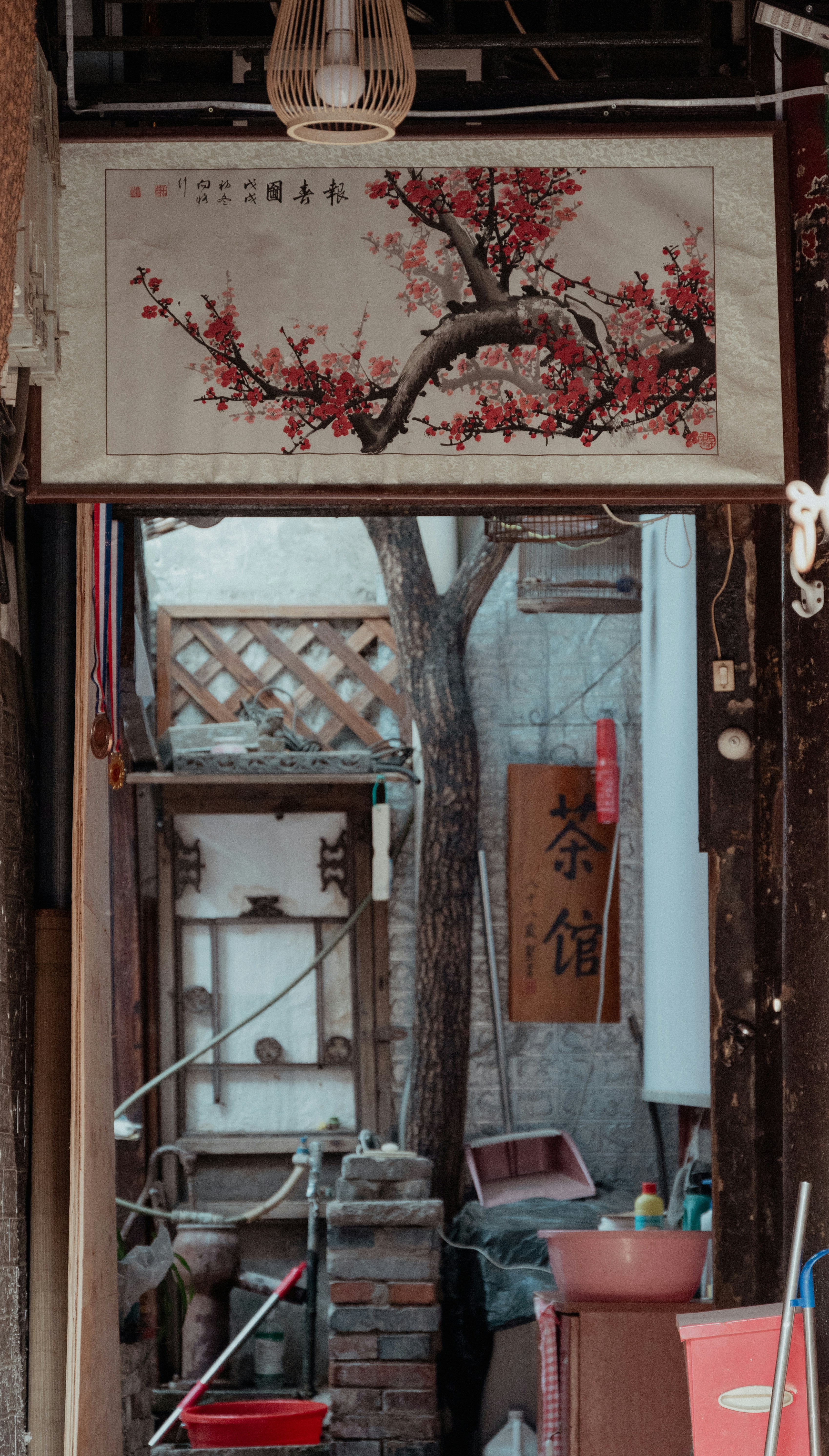 Photo by nikol_royce