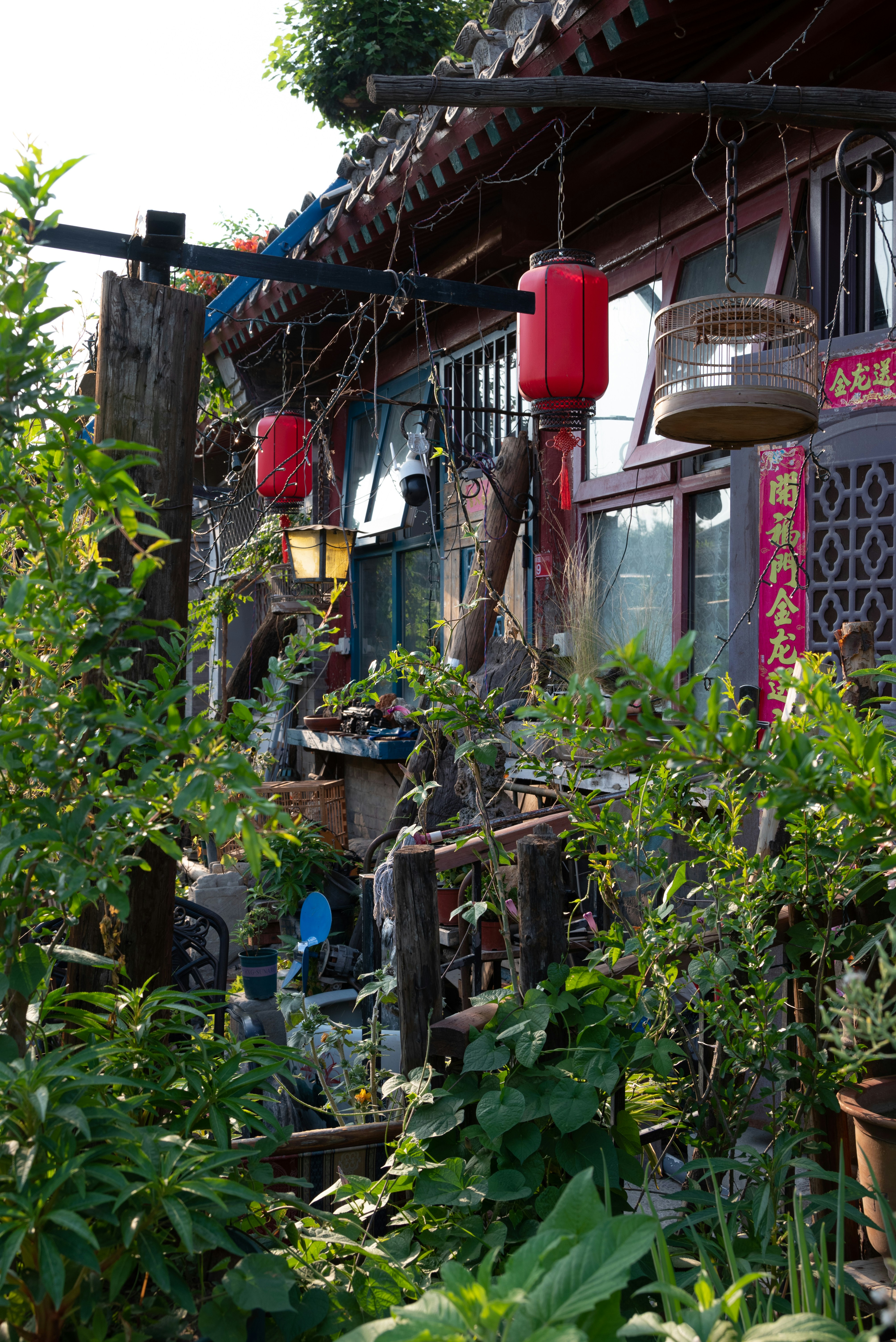 Photo by nikol_royce