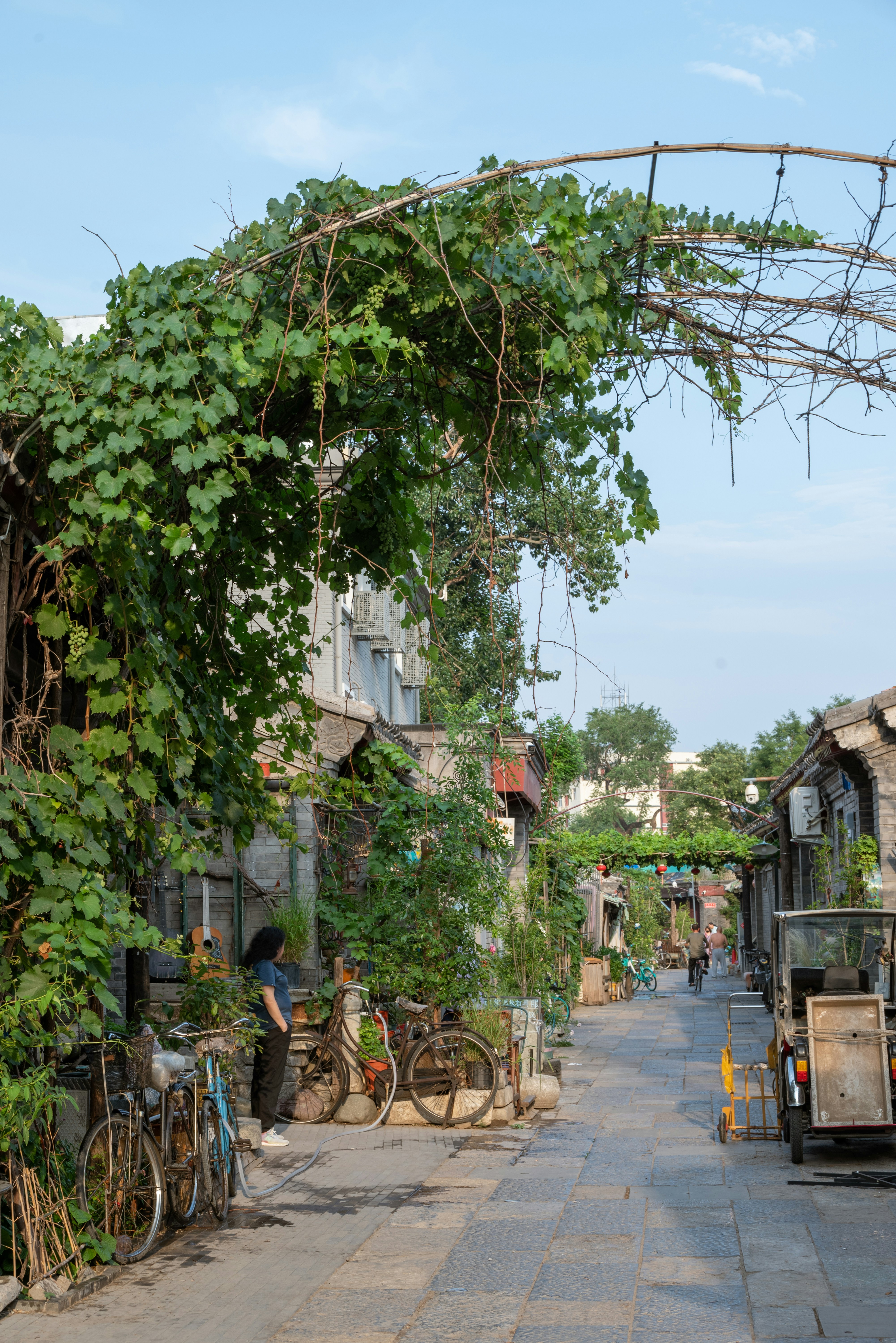 Photo by nikol_royce