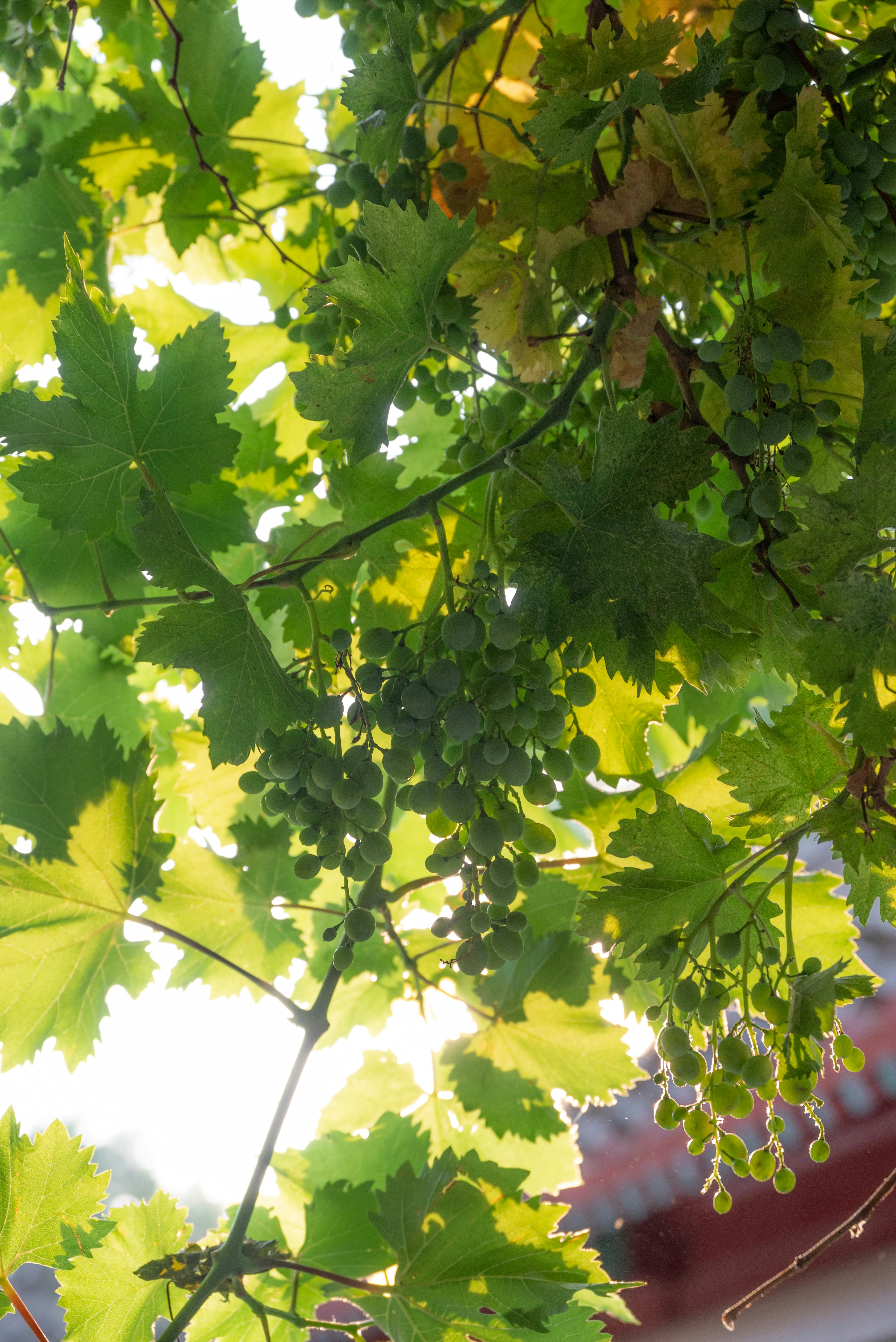 Photo by nikol_royce