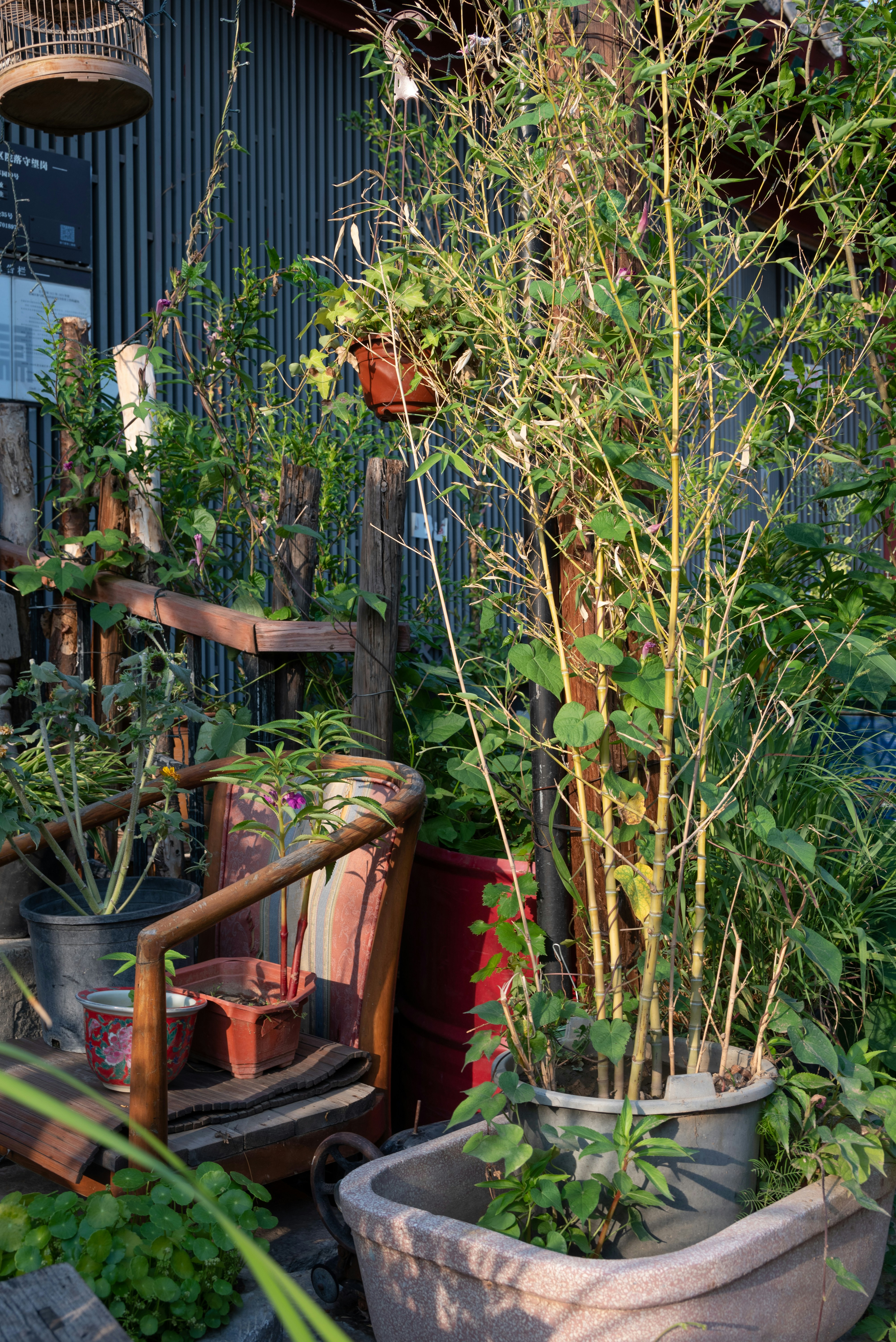 Photo by nikol_royce