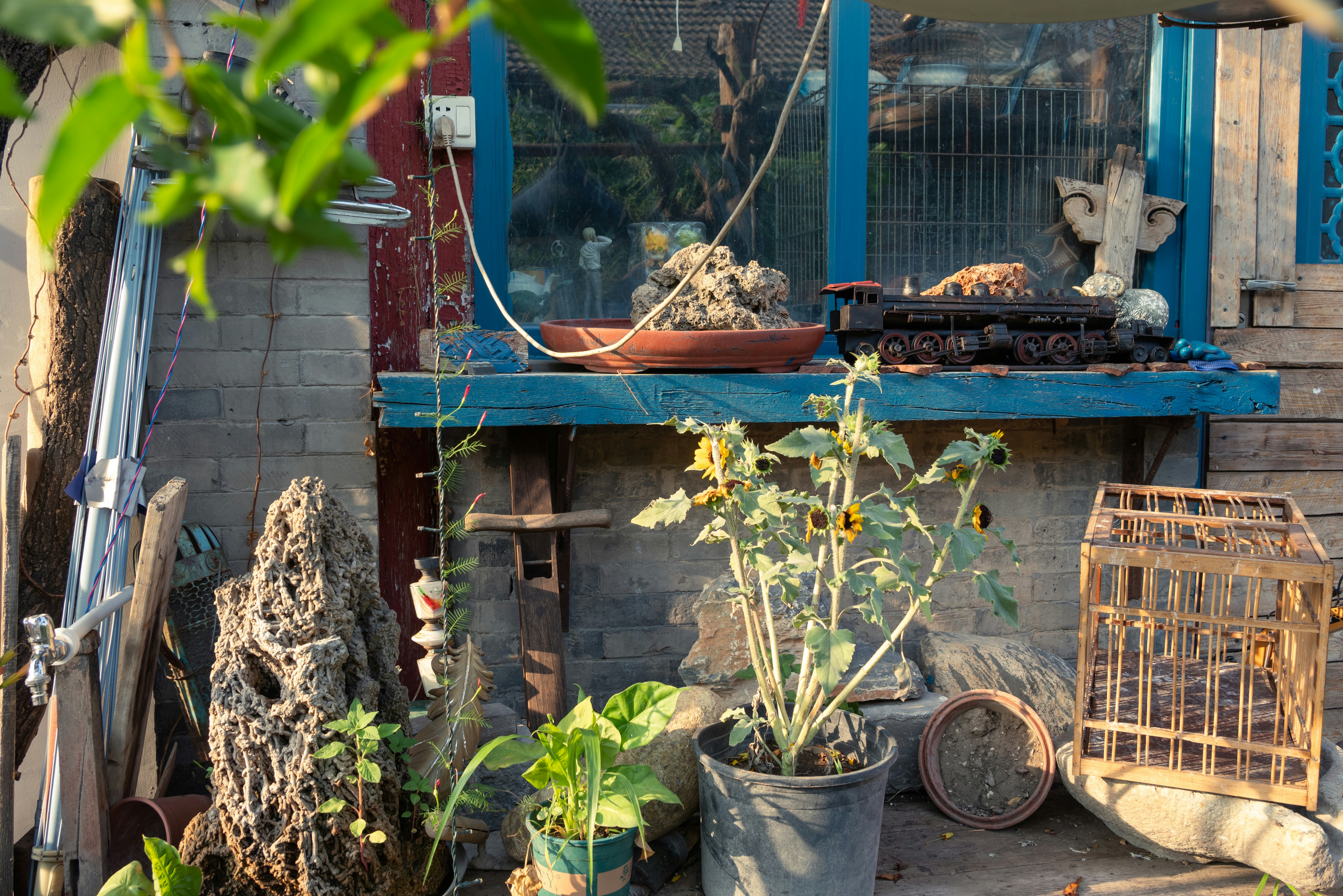 Photo by nikol_royce