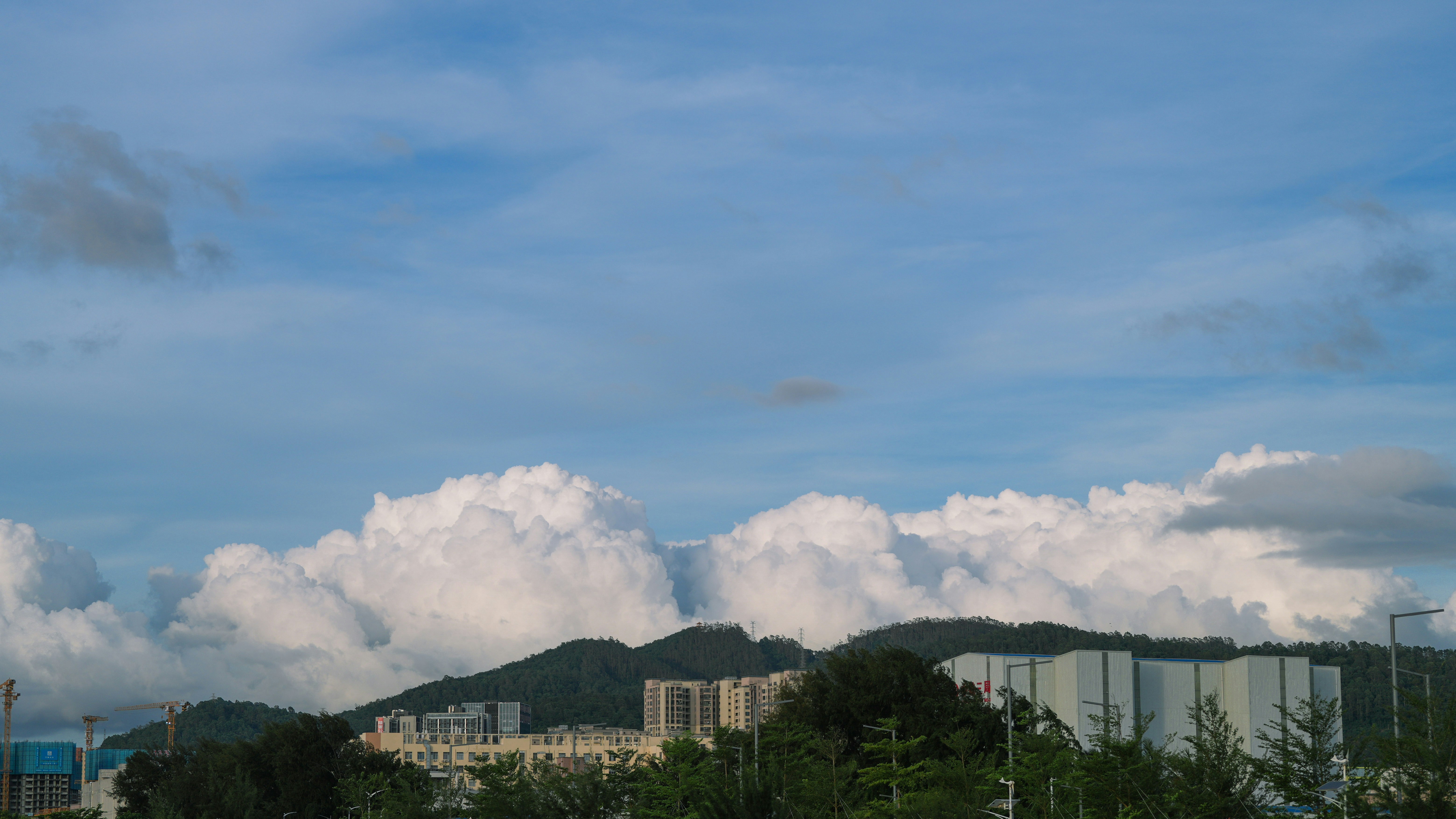 Photo by treesan