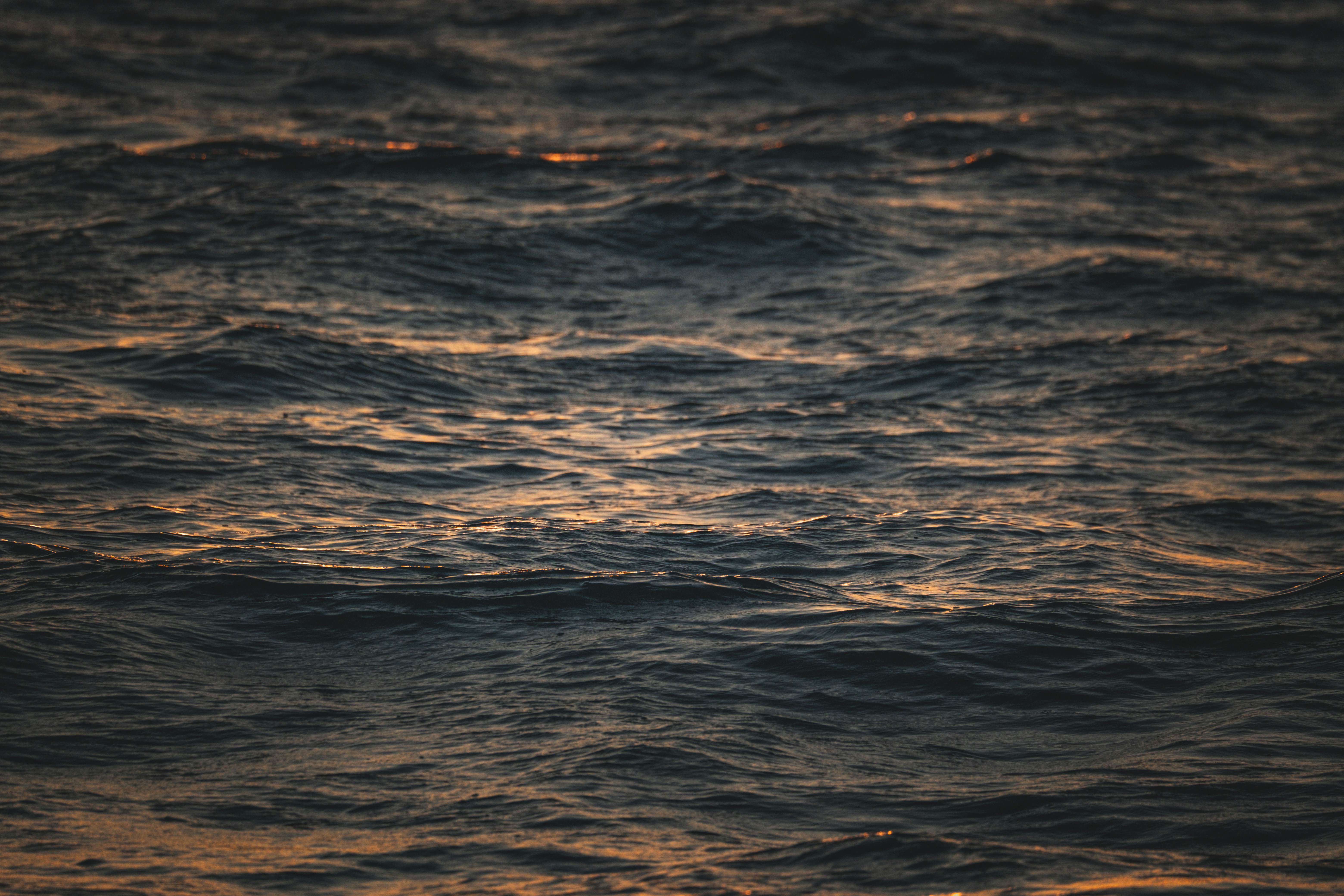 Photo by francesco_ungaro