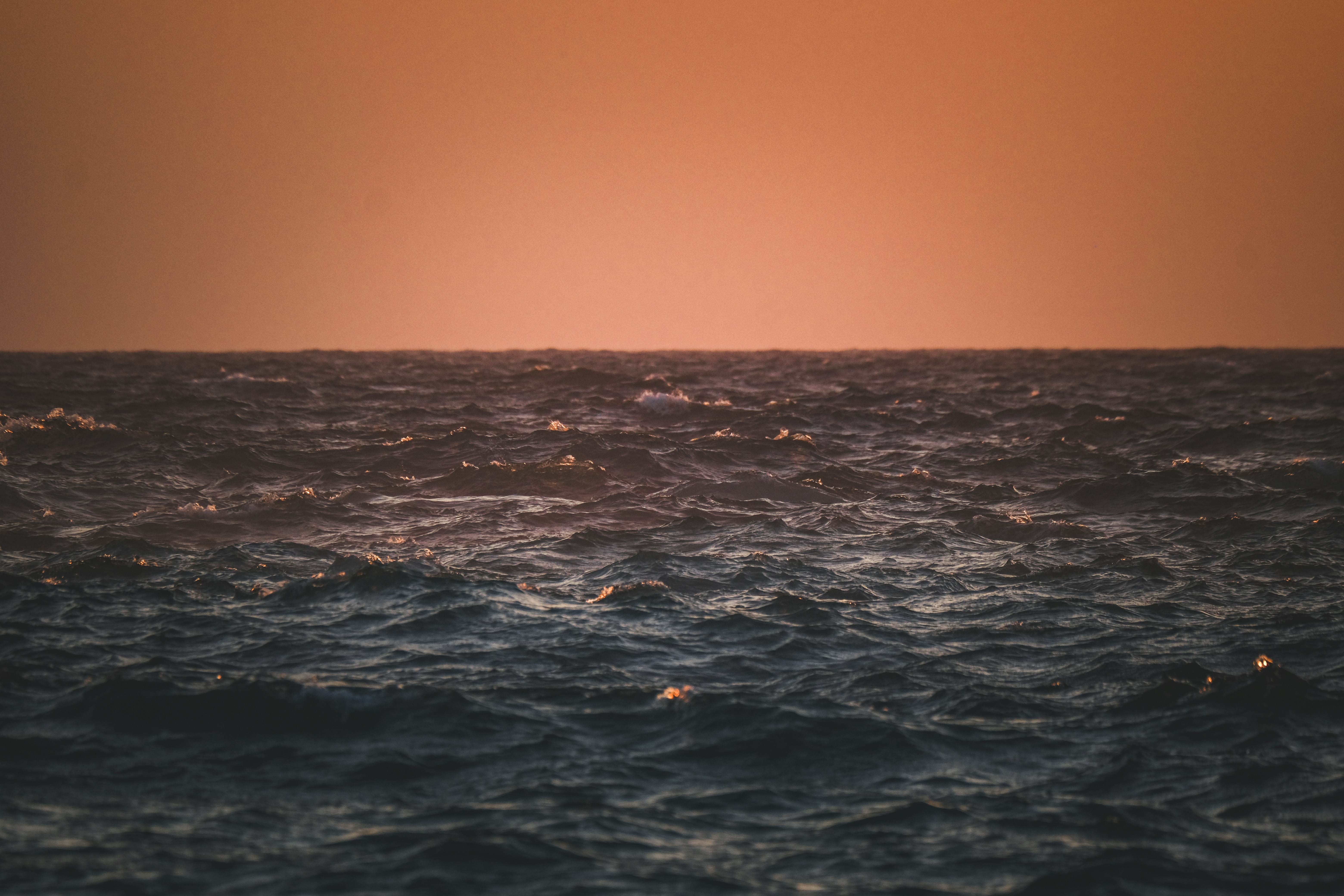 Photo by francesco_ungaro