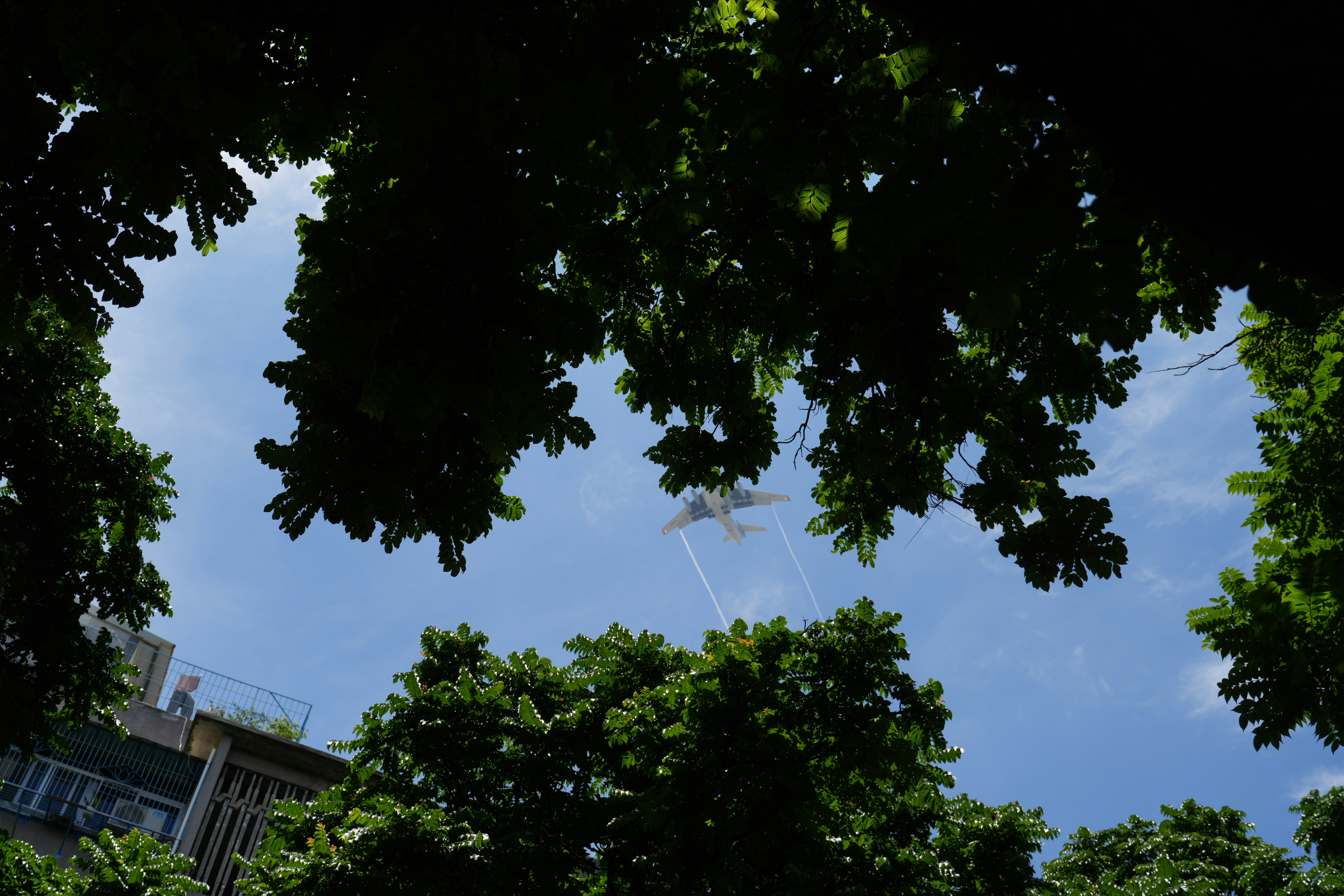 Photo by treesan