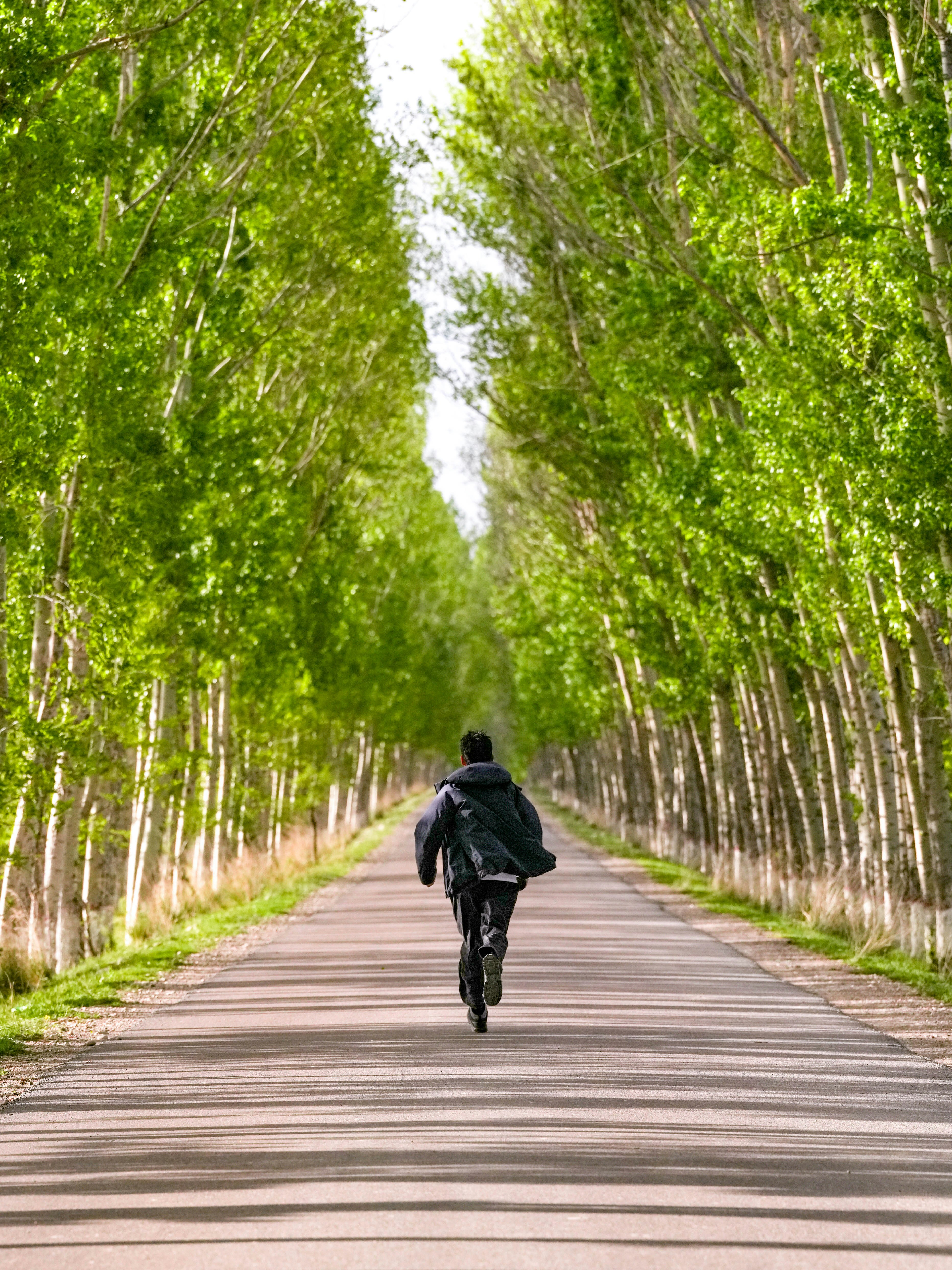 A person riding a bike down a tree lined road