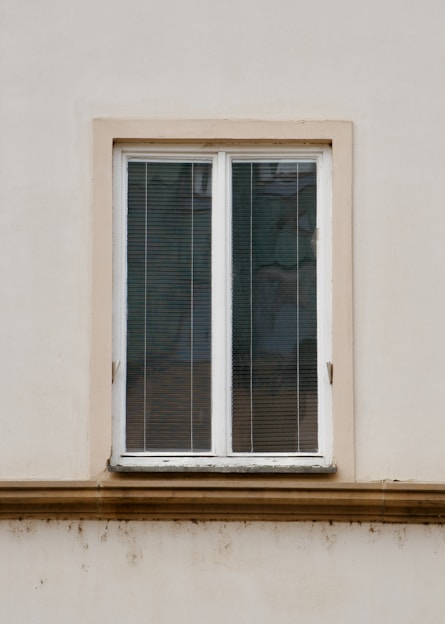 A window with blinds on the outside of it