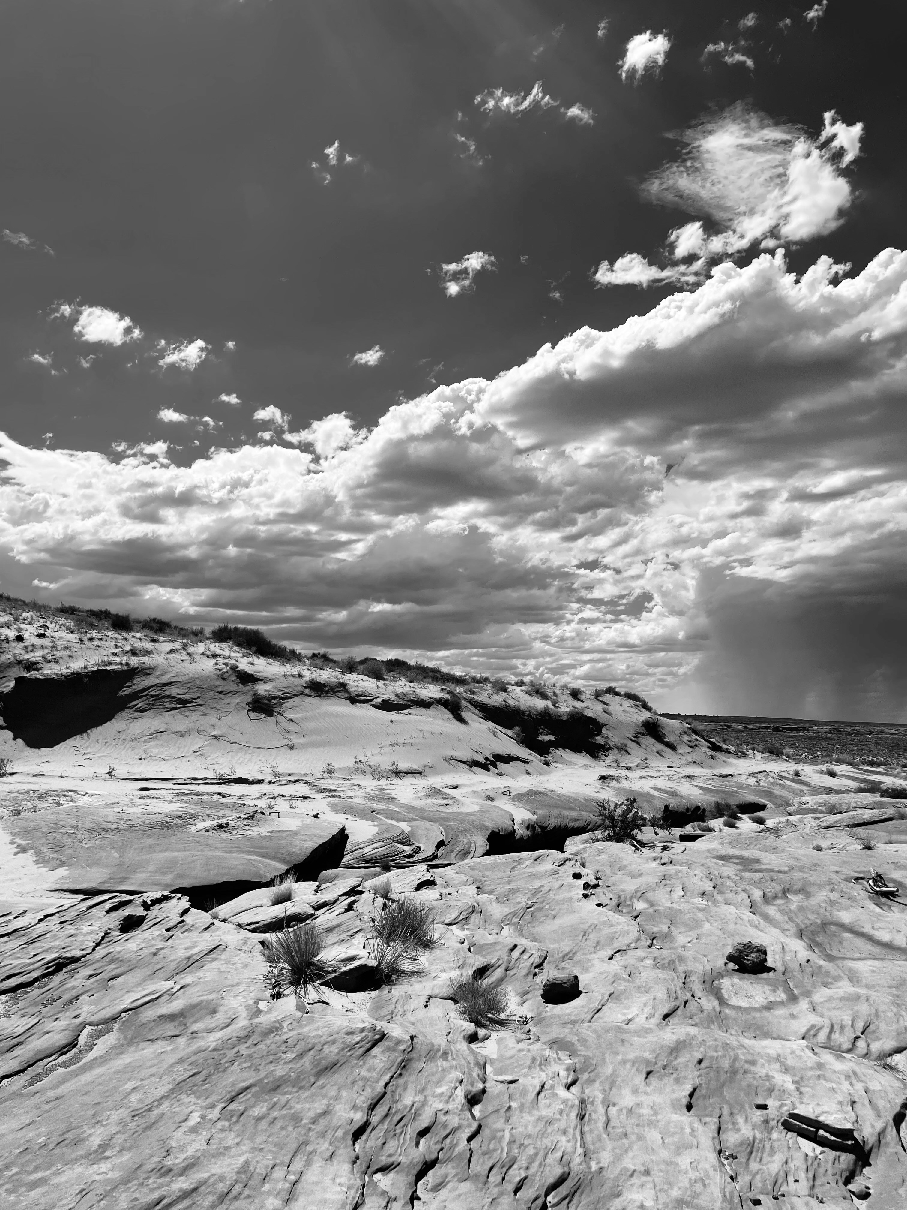 Diagram illustrating components of a high-converting landing page