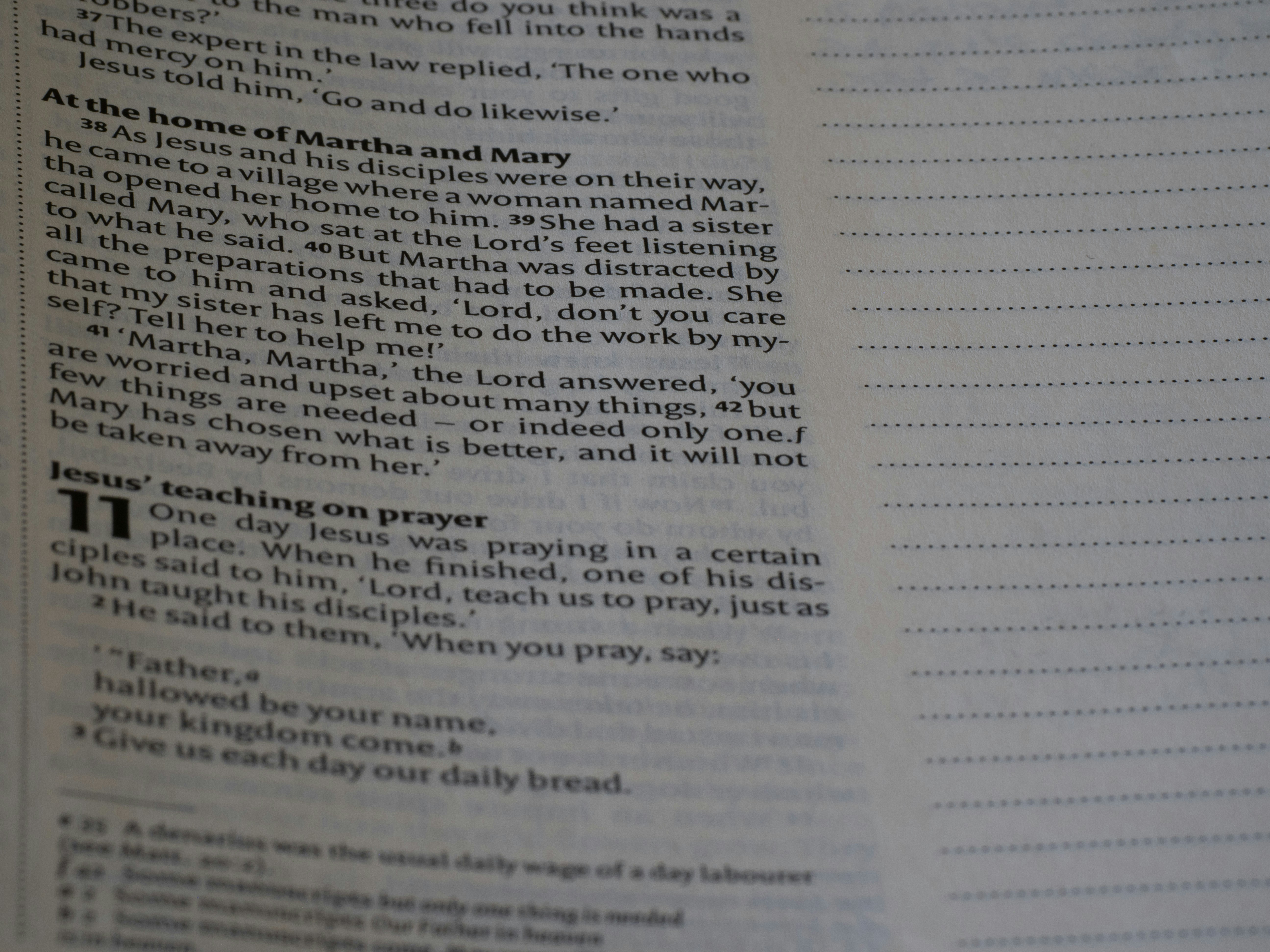 Photo by brett_jordan