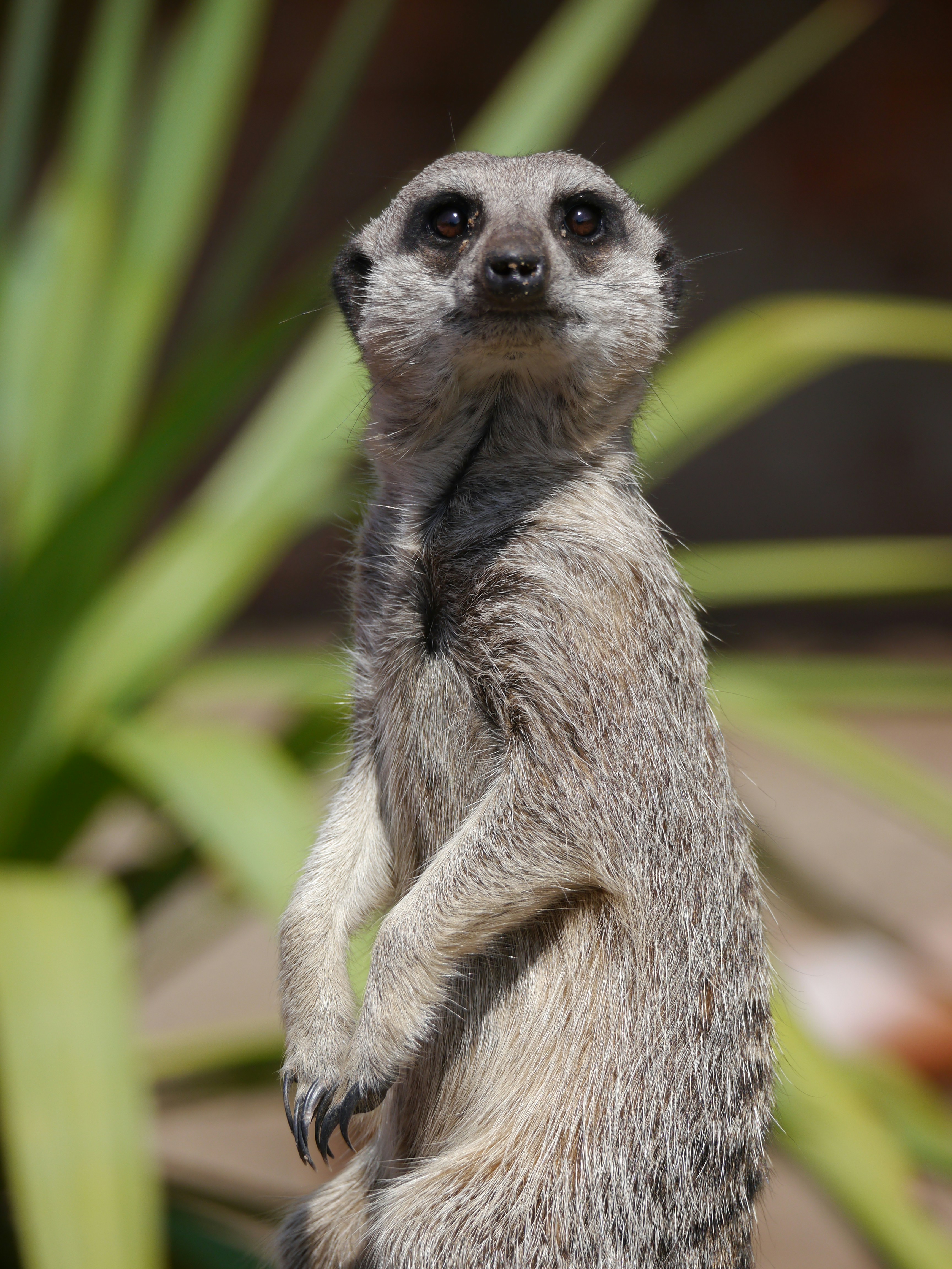 Photo by iqsphotography