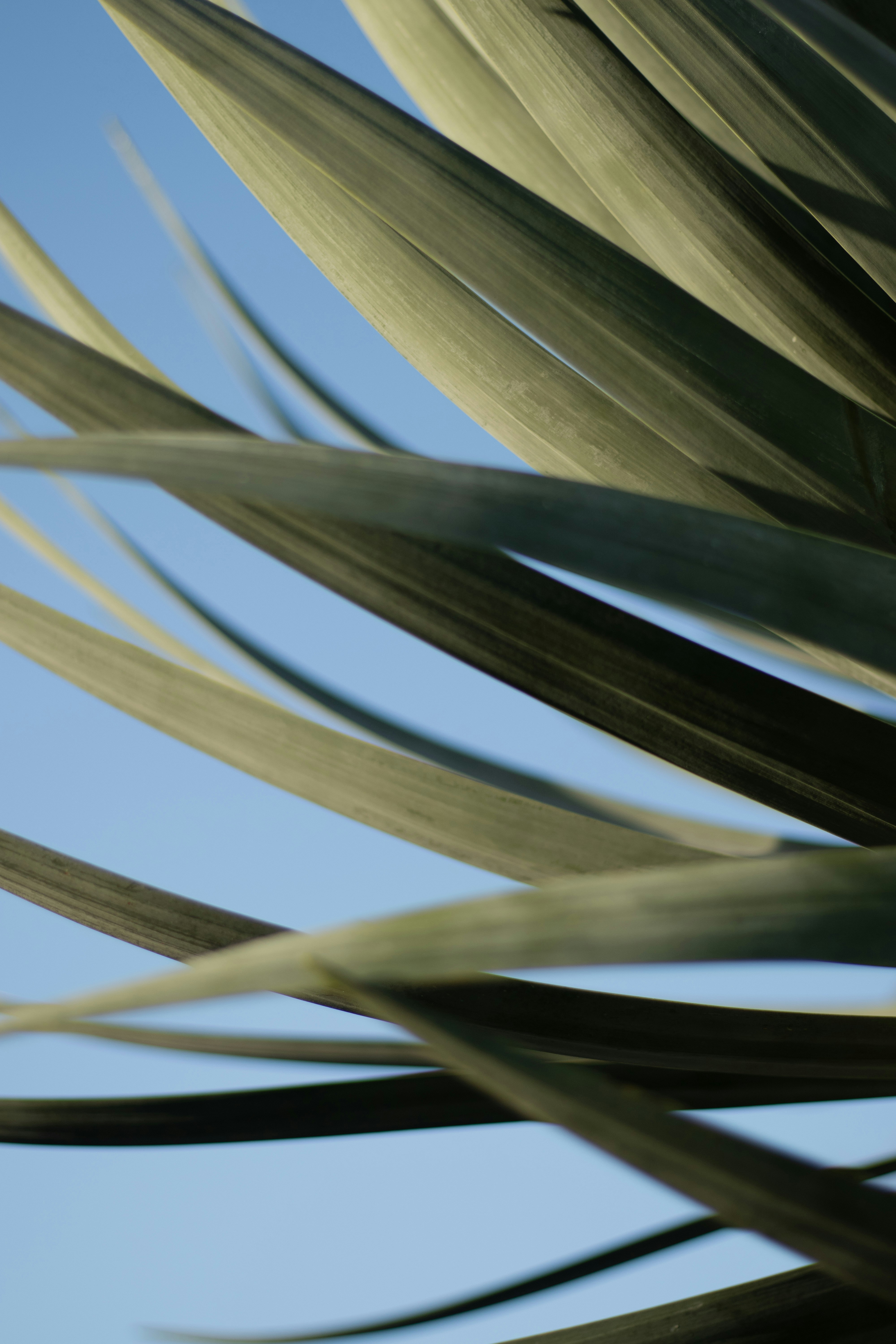 Photo by ashford_marx