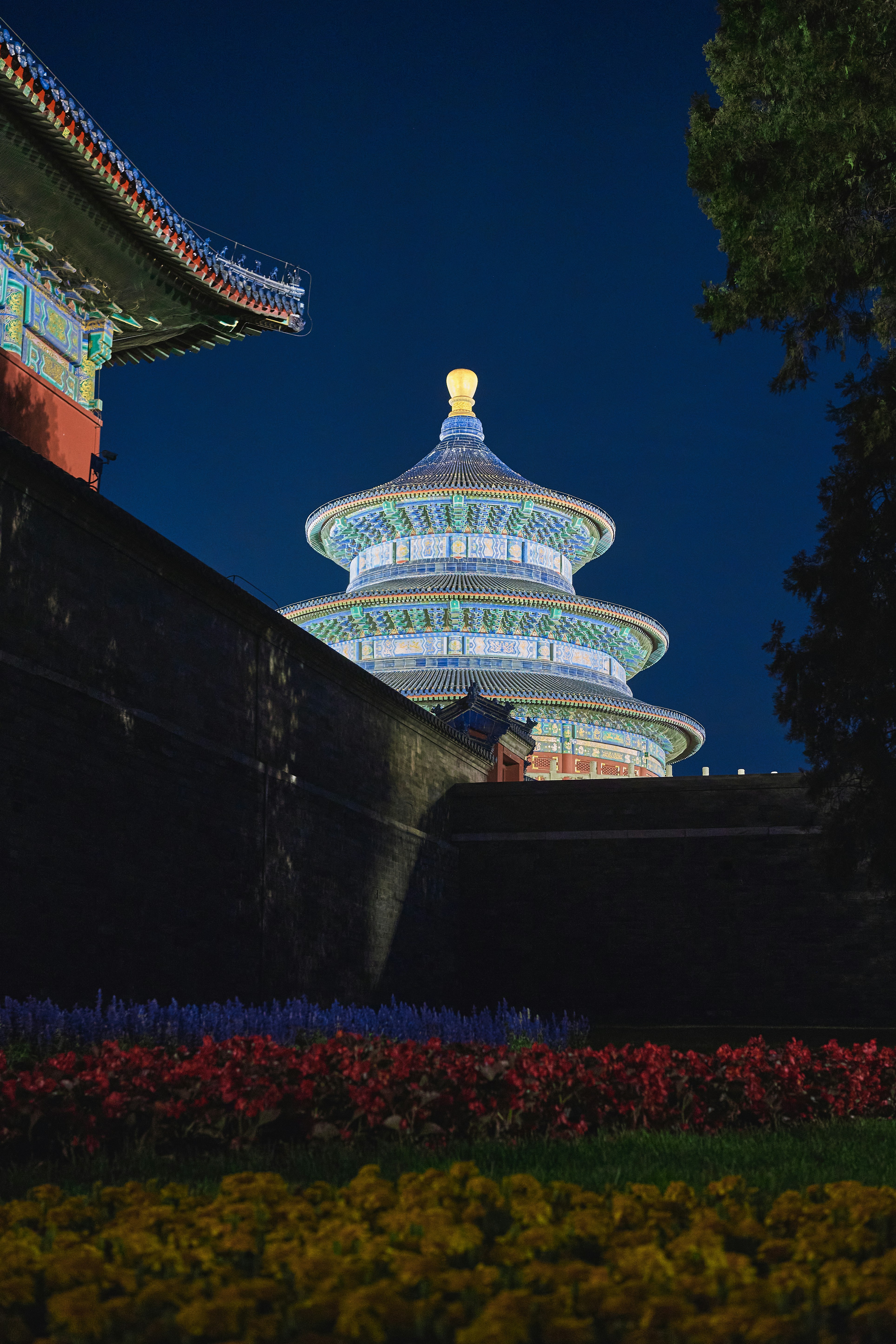 Um edifício iluminado à noite com flores em primeiro plano