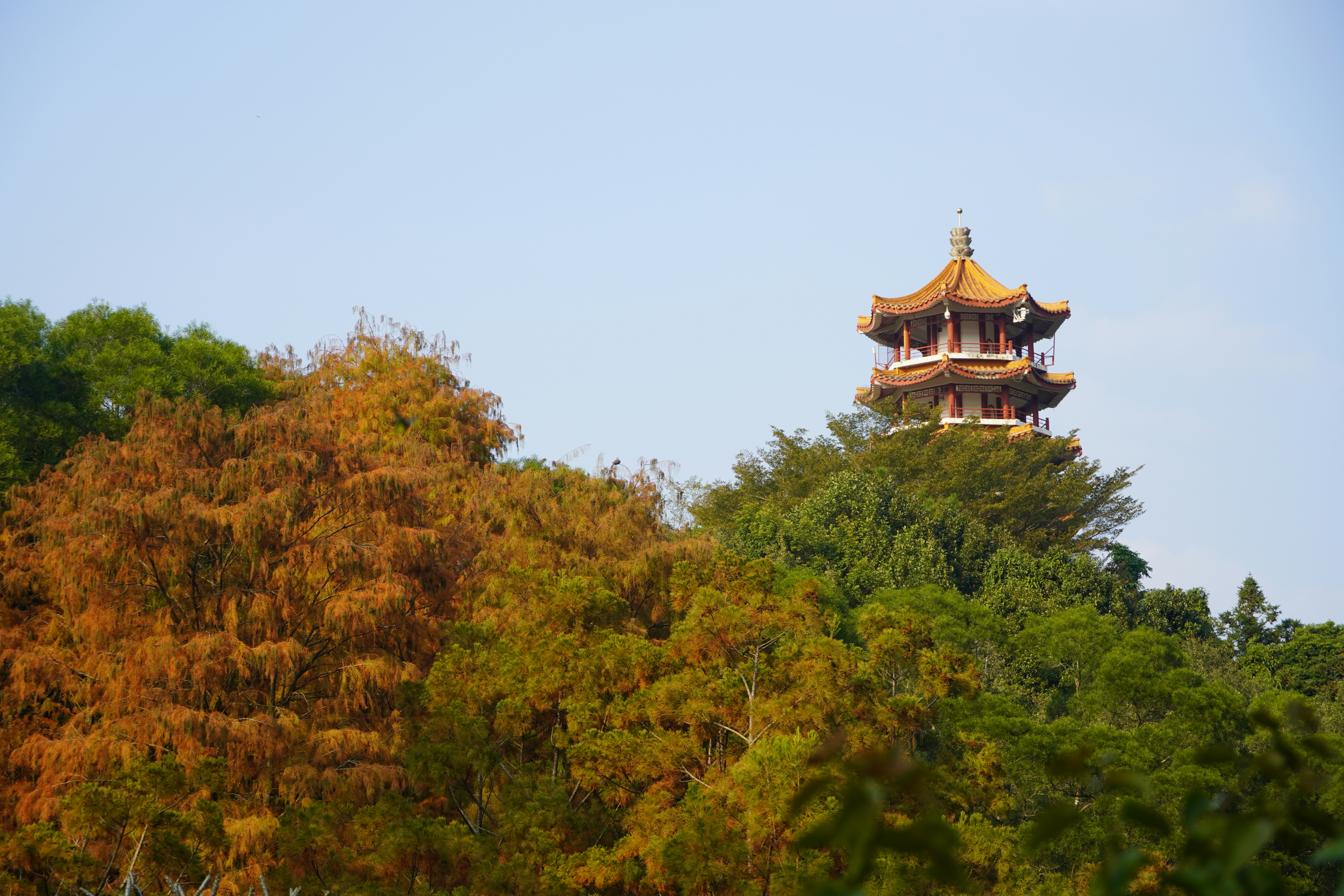 Photo by baozihhhhhh