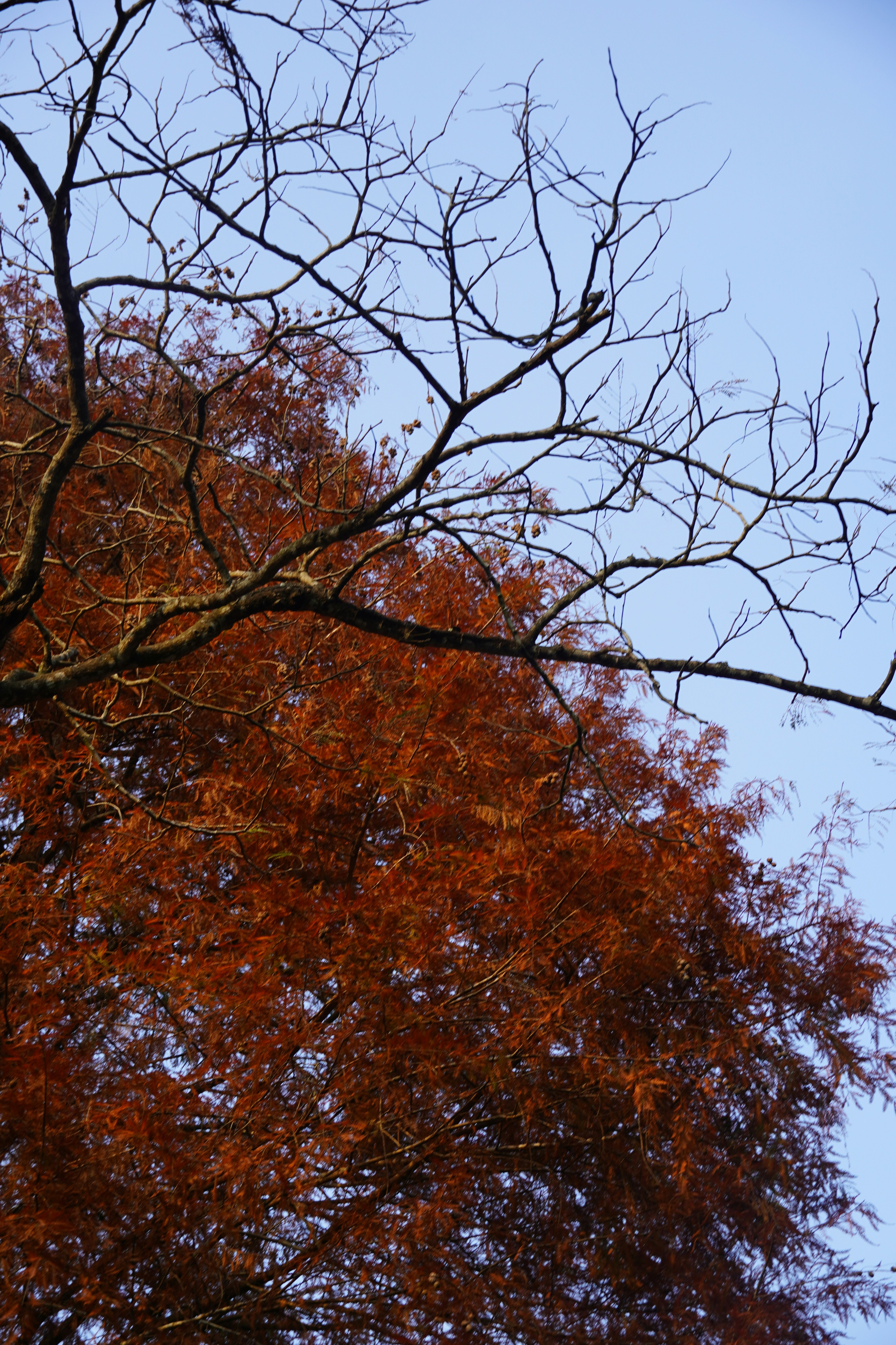 Photo by baozihhhhhh