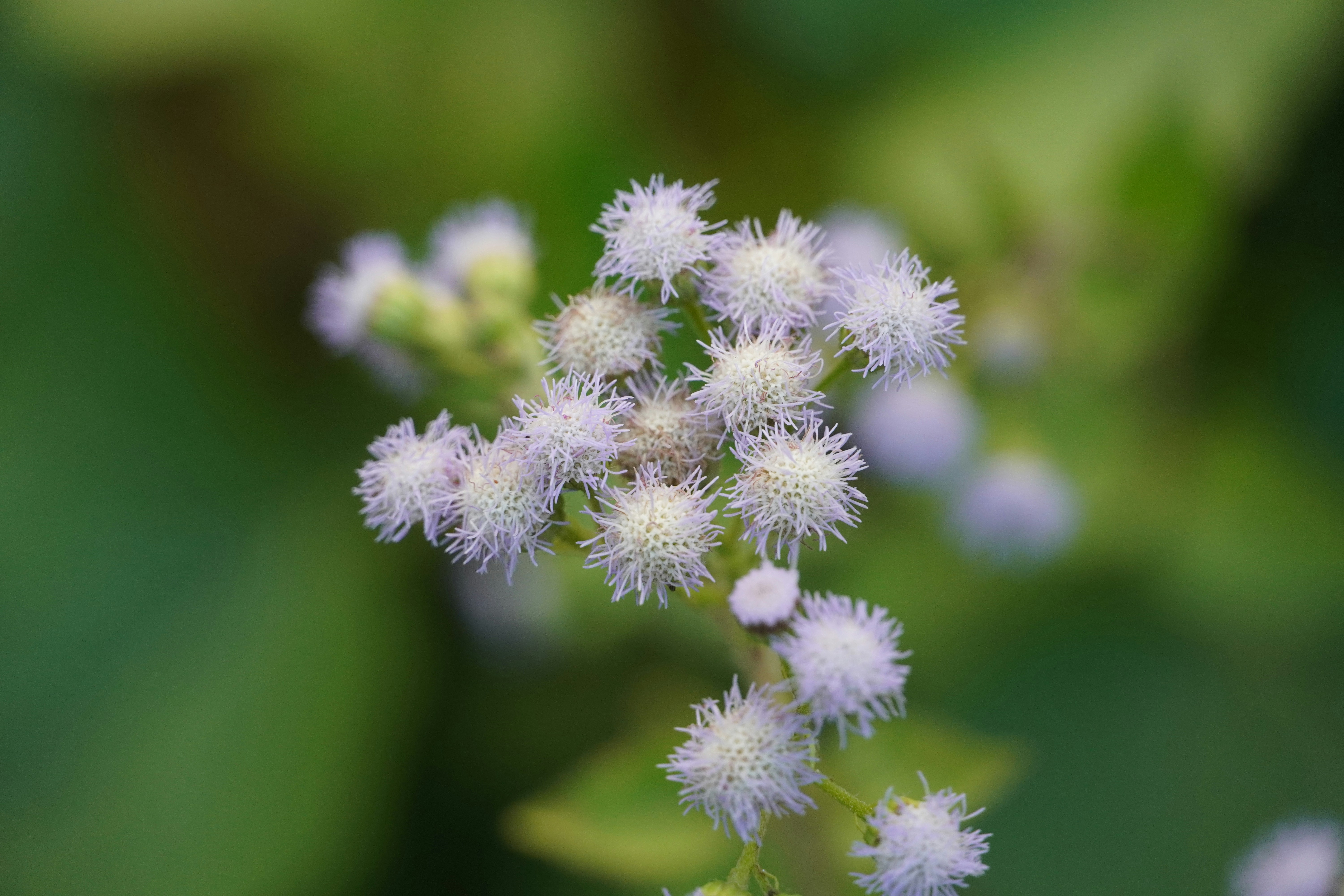 Photo by baozihhhhhh