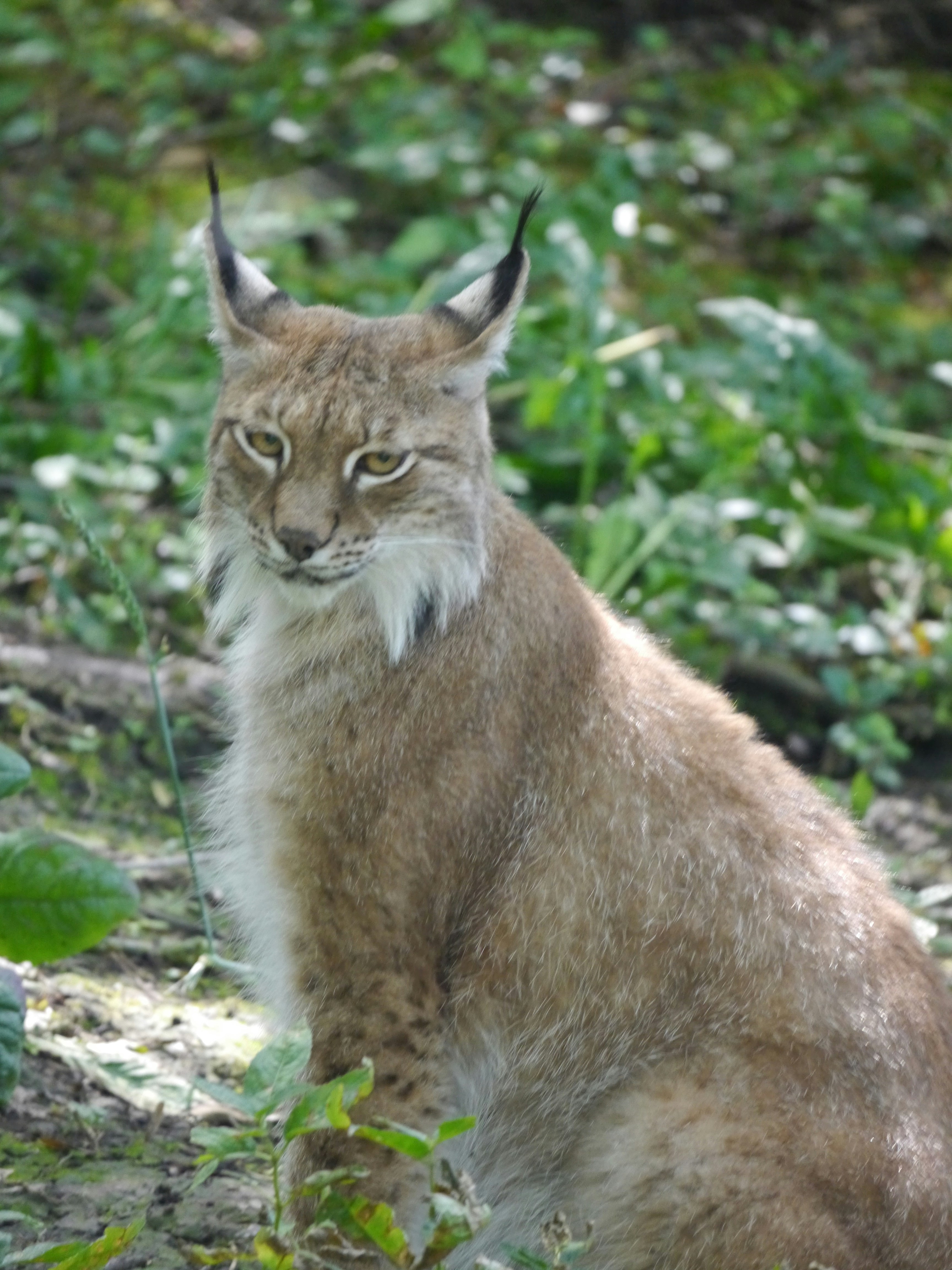 Photo by iqsphotography