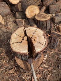 A tree stump with a knife stuck in it