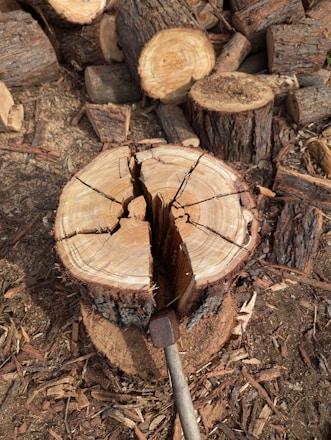 A tree stump with a knife stuck in it